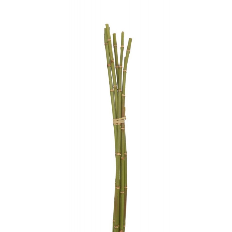 Botte de bambou vert H72cm Botte de bambou vert H72cm