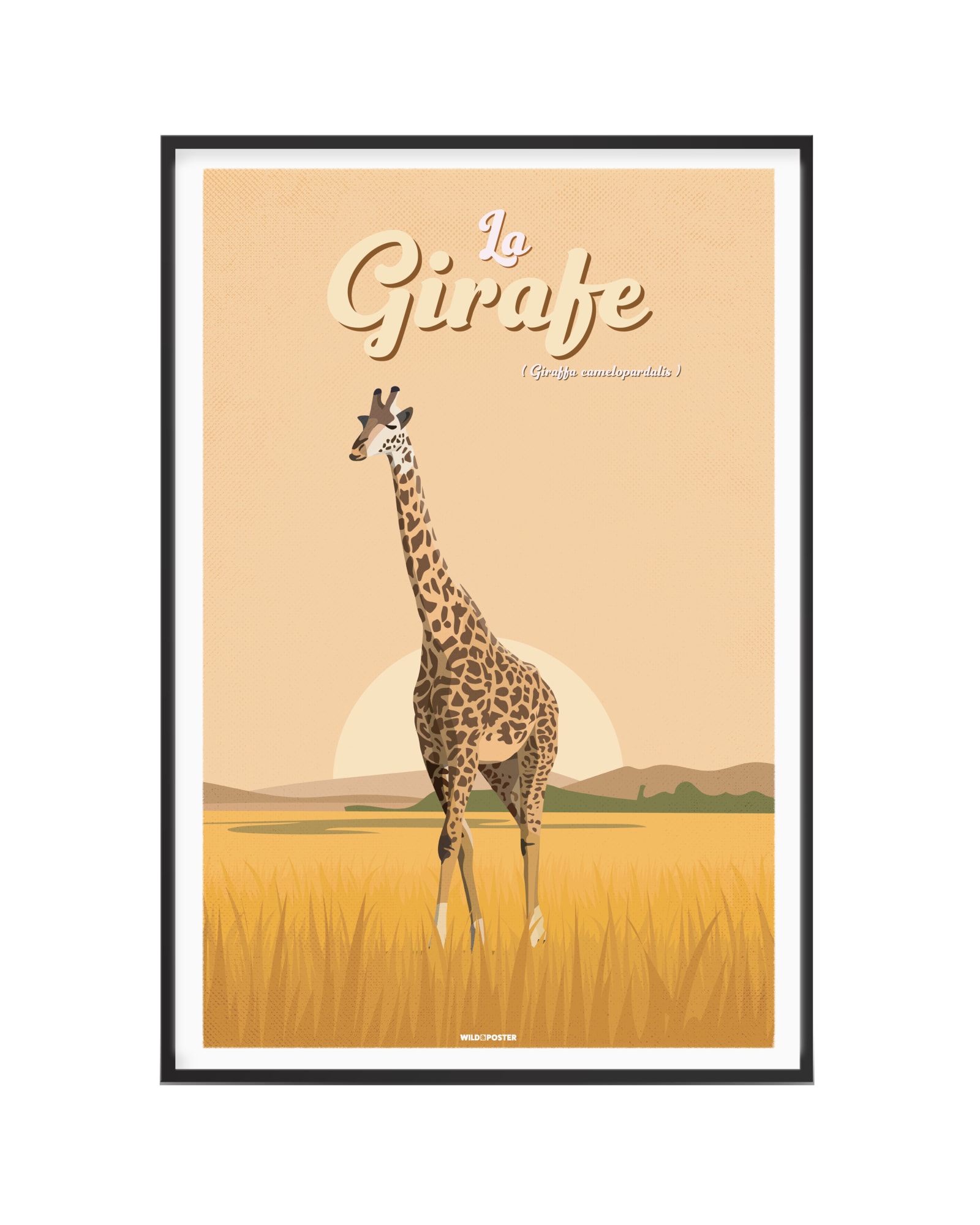 Affiche Girafe 30 x 40 cm Affiche Girafe 30 x 40 cm