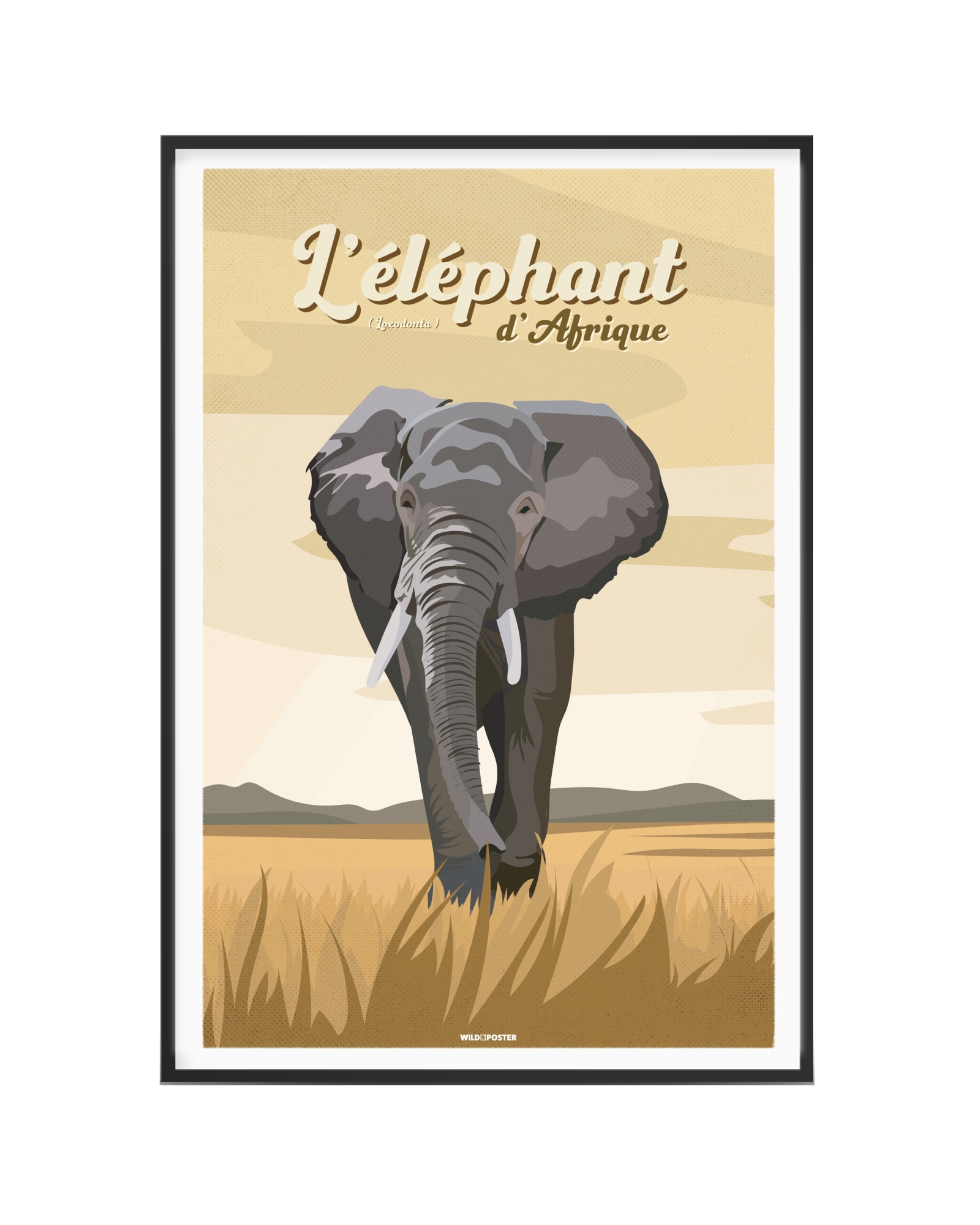 Affiche Elephant d'Afrique 40 x 60 cm