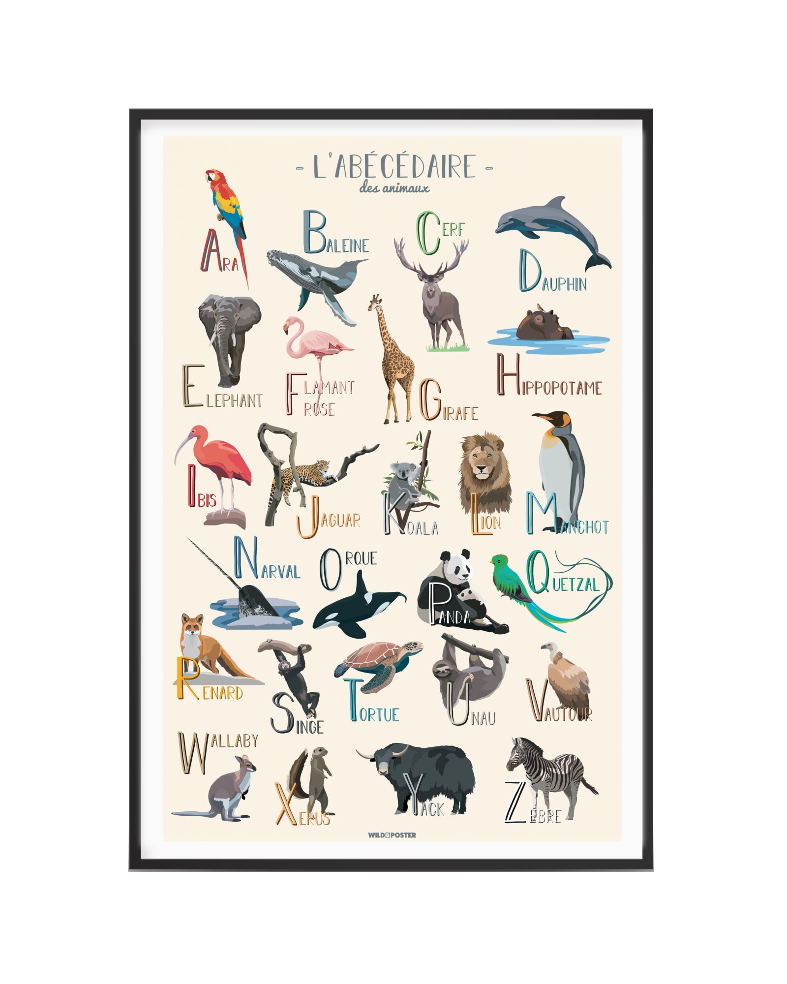 Affiche Abécédaire des animaux 40 x 60 cm