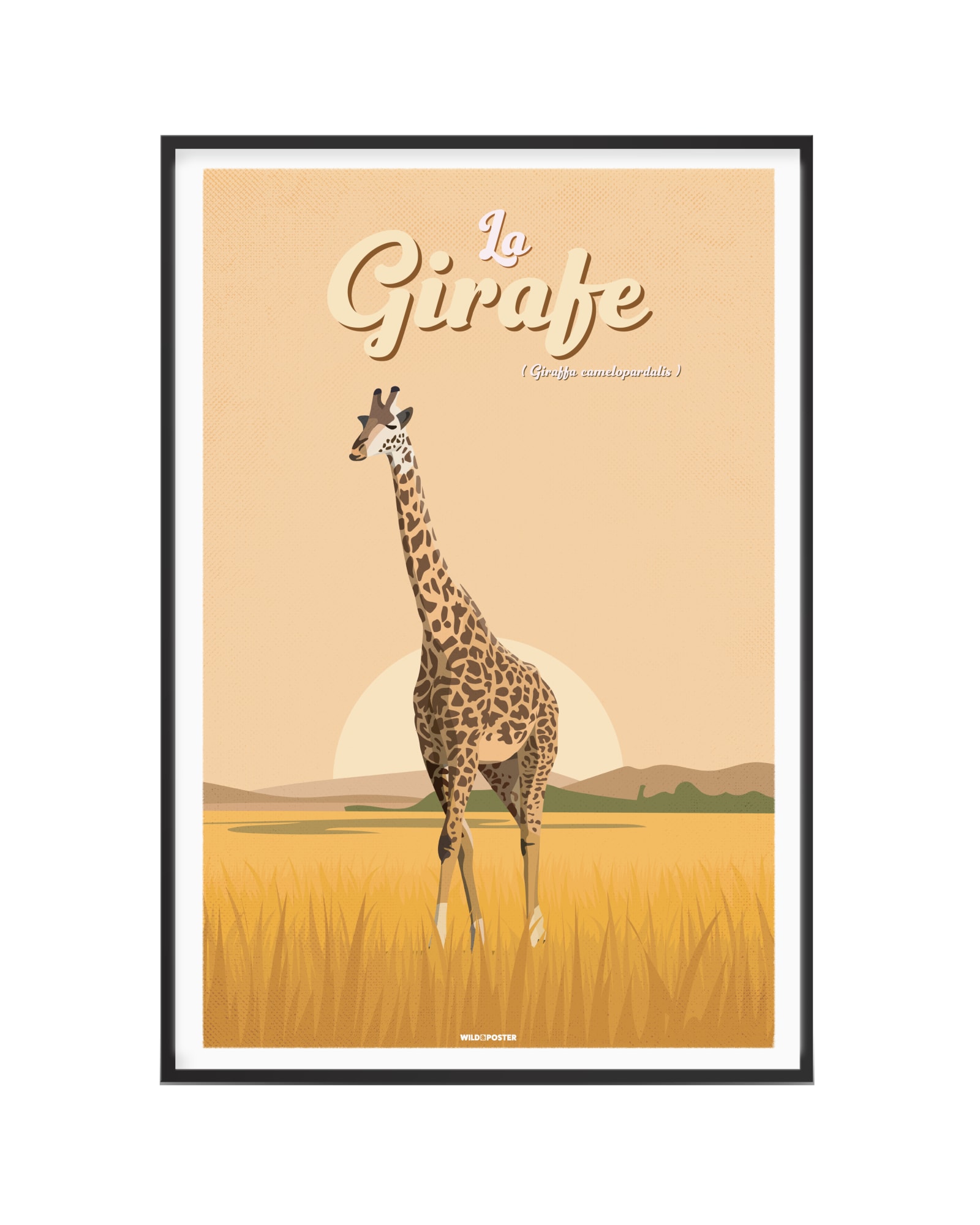 Affiche Girafe 40 x 60 cm