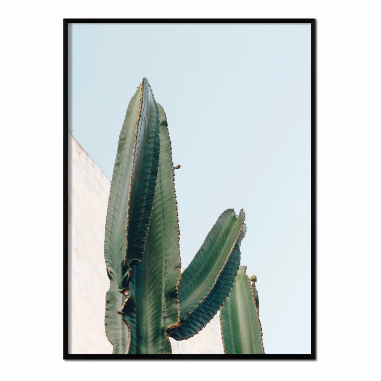 Affiche avec cadre noir - Couleur Cactus - 50x70