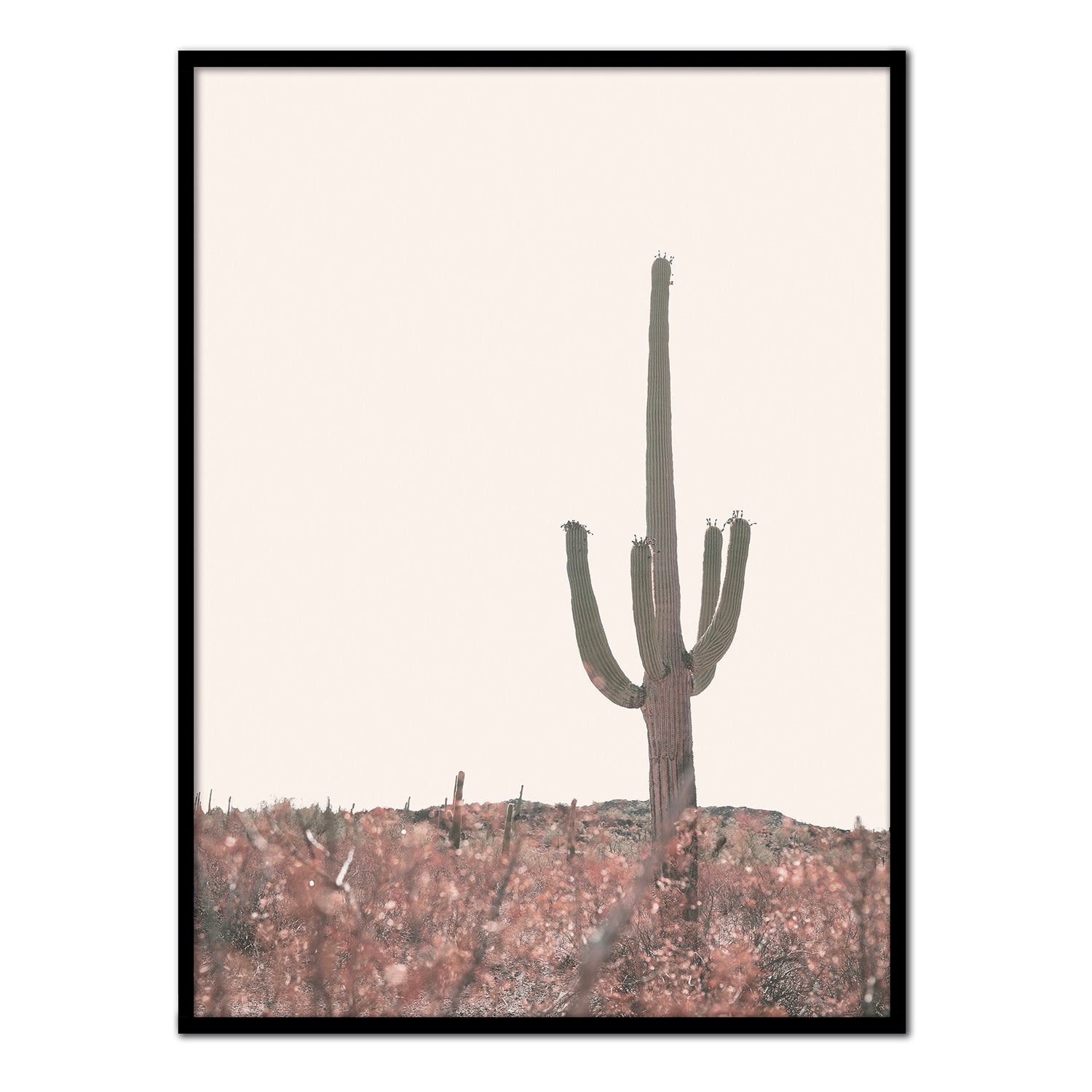 Affiche avec cadre noir - Cactus dans le désert de l'Arizona - 30x40