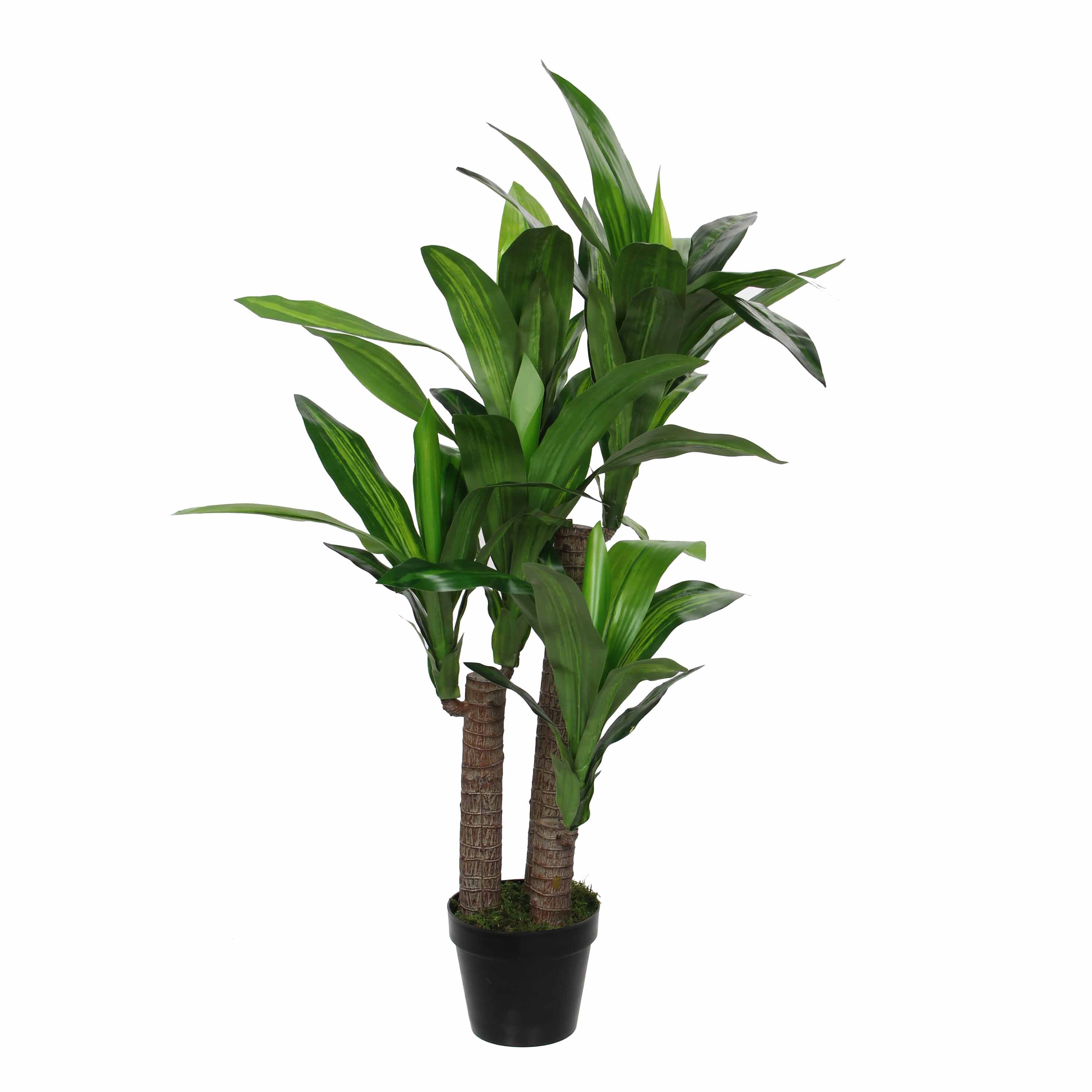 Dracaena artificielle en pot H110