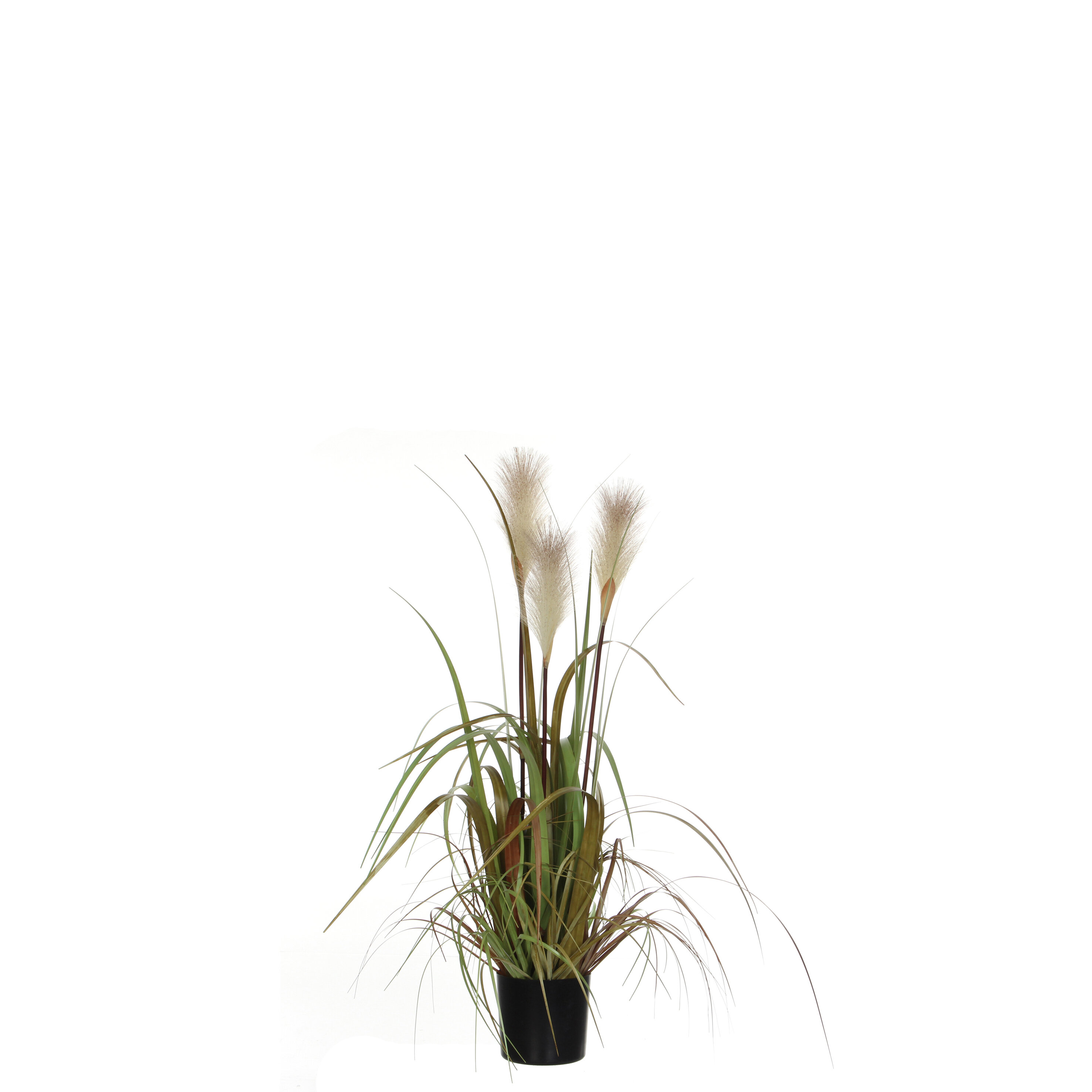 Herbe fogtail artificielle en pot H80 Herbe fogtail artificielle en pot H80