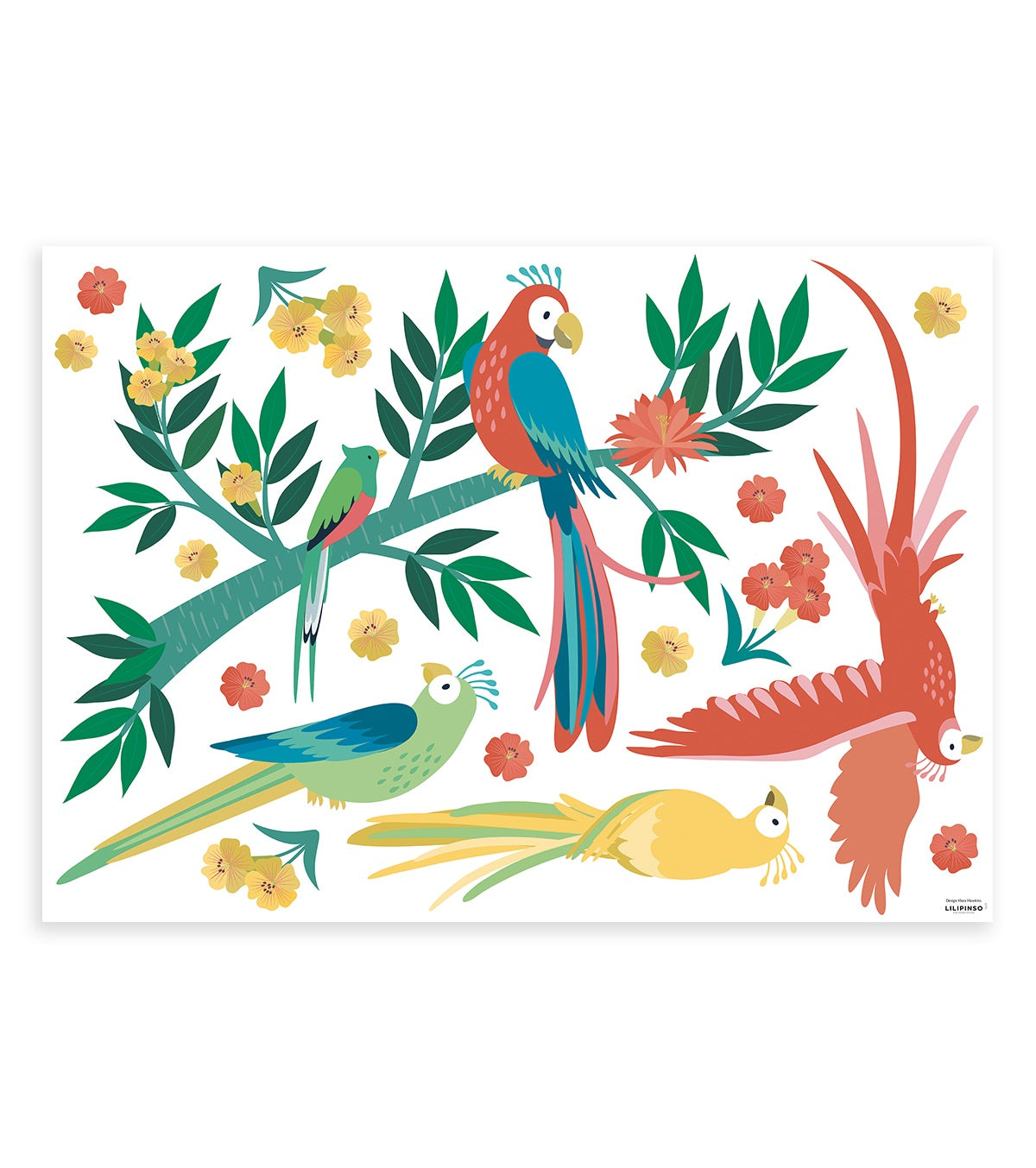 Stickers les perroquets en Vinyle mat Multicolore 64x90 cm