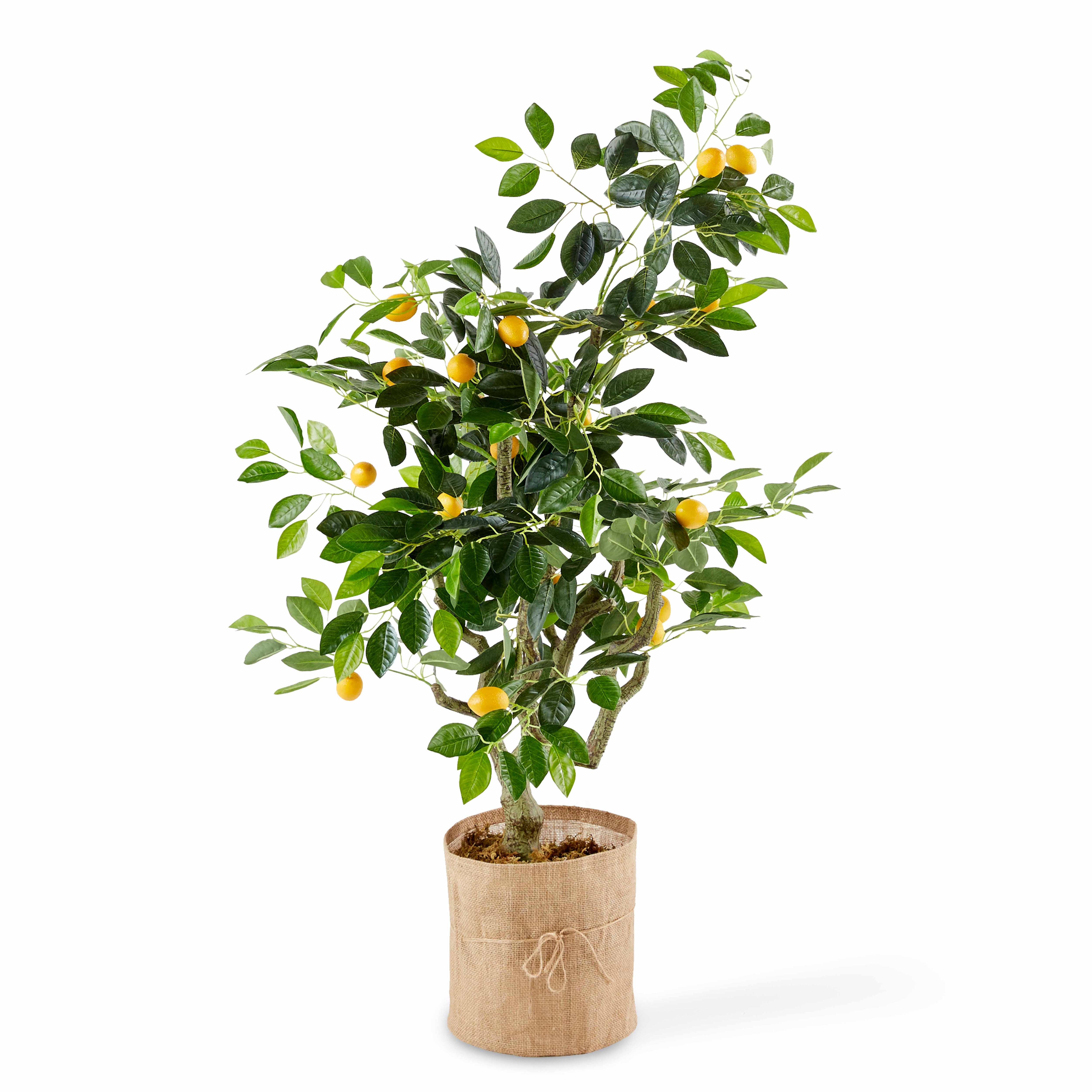 Citronnier artificiel