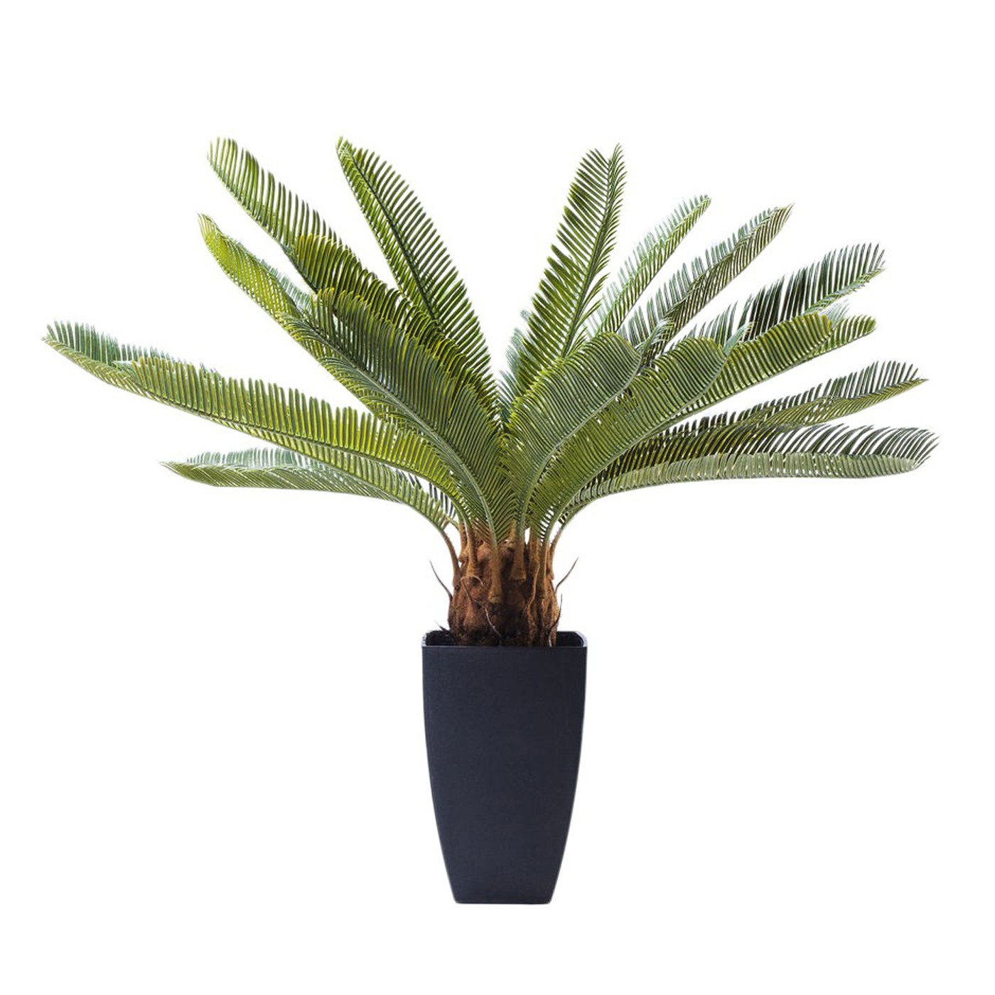 Plante artificielle palmier en polyéthylène et béton H78