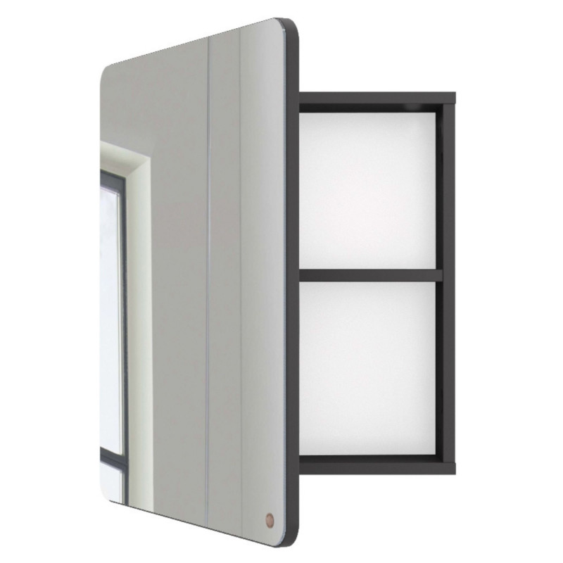 Miroir de salle de bain avec placard en bois gris foncé Miroir de salle de bain avec placard en bois gris foncé