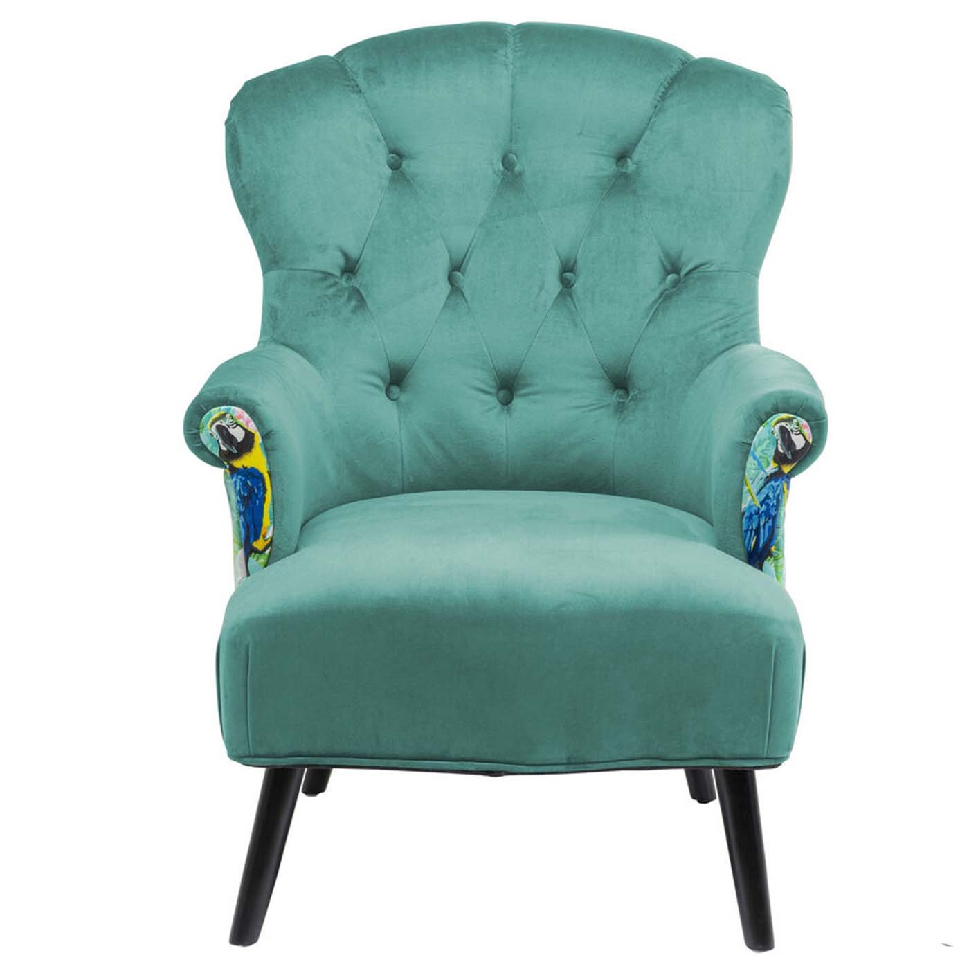 Fauteuil en velours turquoise perroquets et bouleau noir Fauteuil en velours turquoise perroquets et bouleau noir