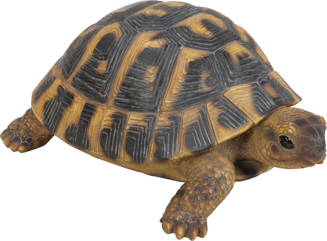Tortue hermann en résine 17 cm