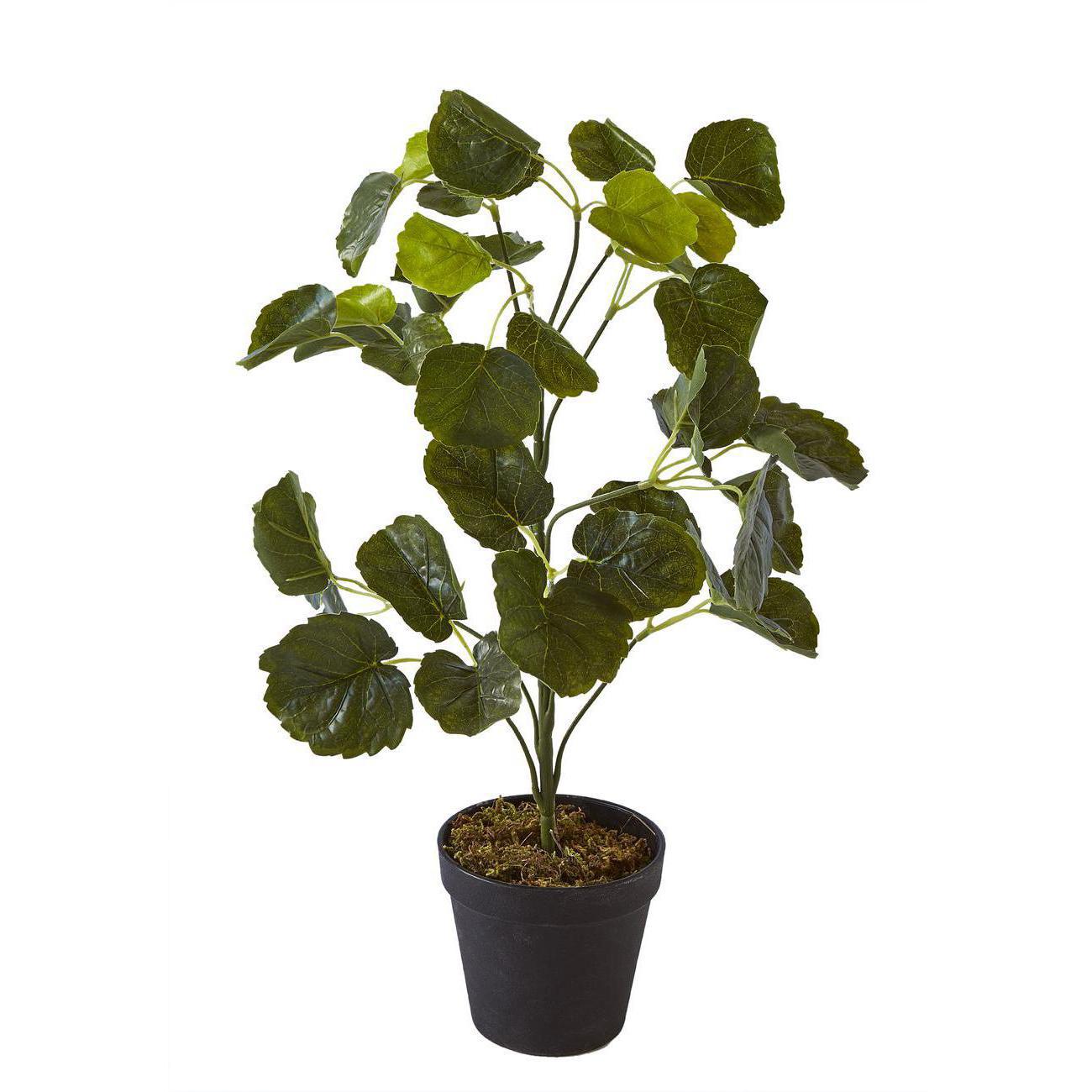 Plante artificielle polyethylène vert H57cm