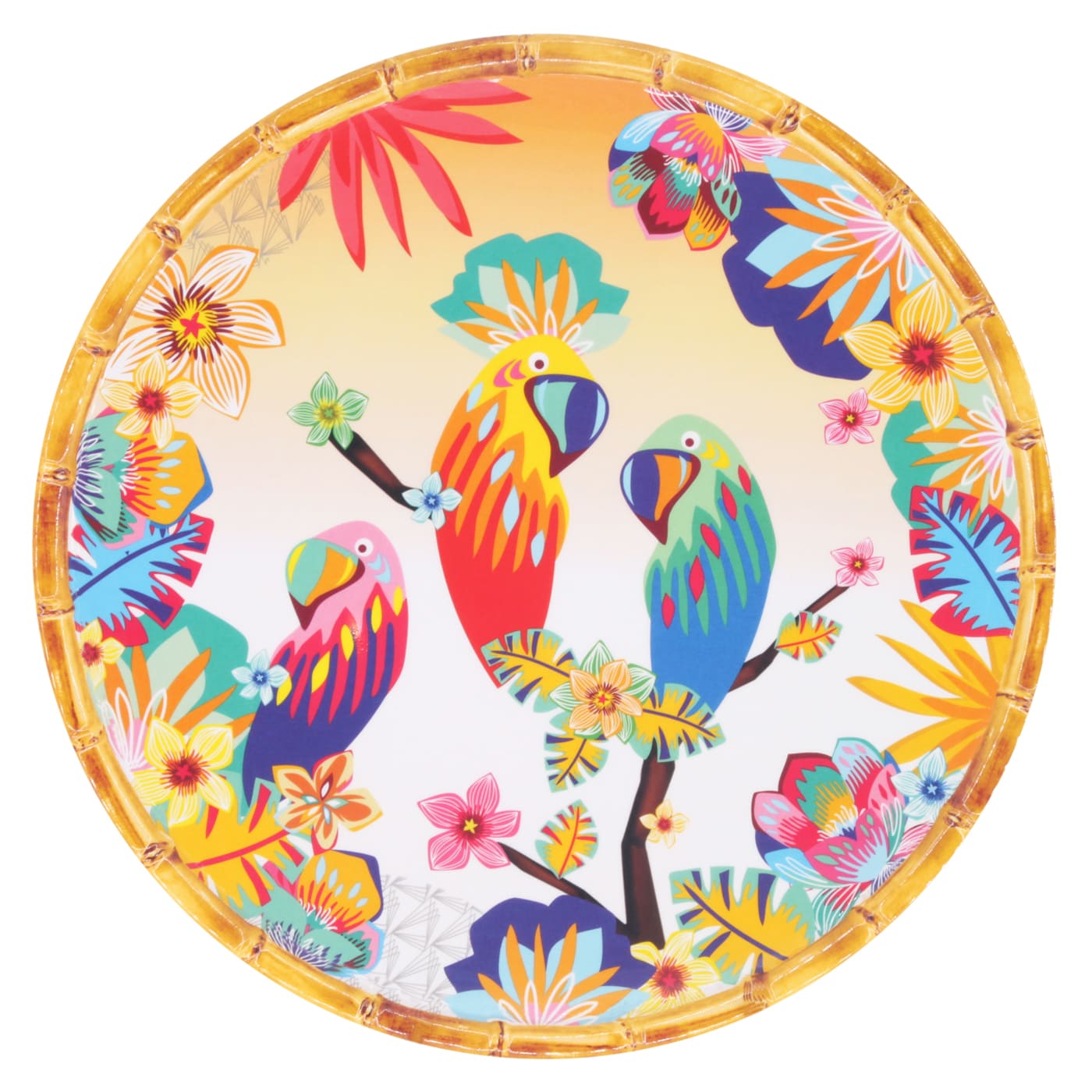 grande assiette plate mélamine motif perroquet et dégradé orange 28 cm