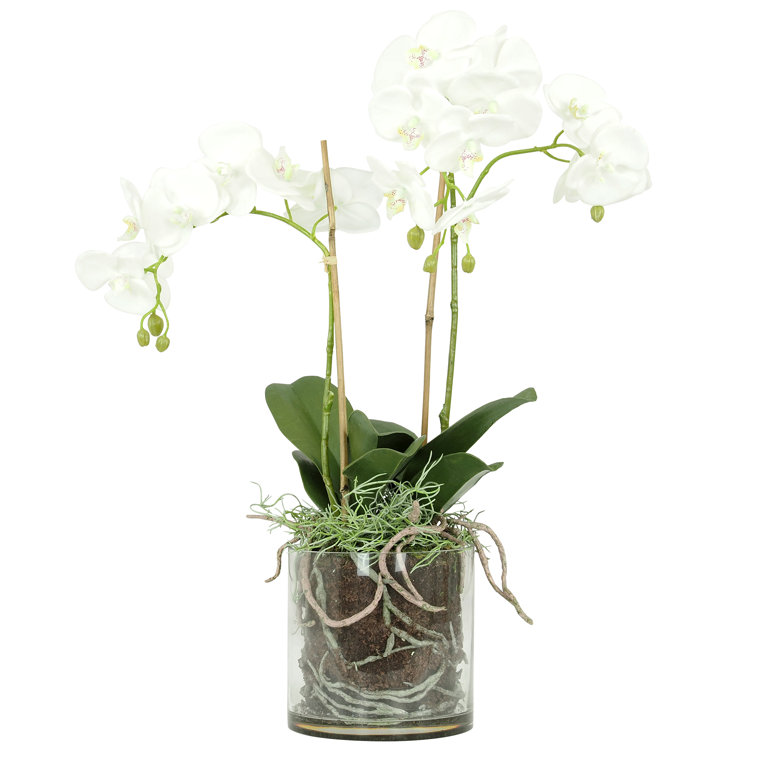 Orchidée artificielle toucher naturel en pot en verre H65cm