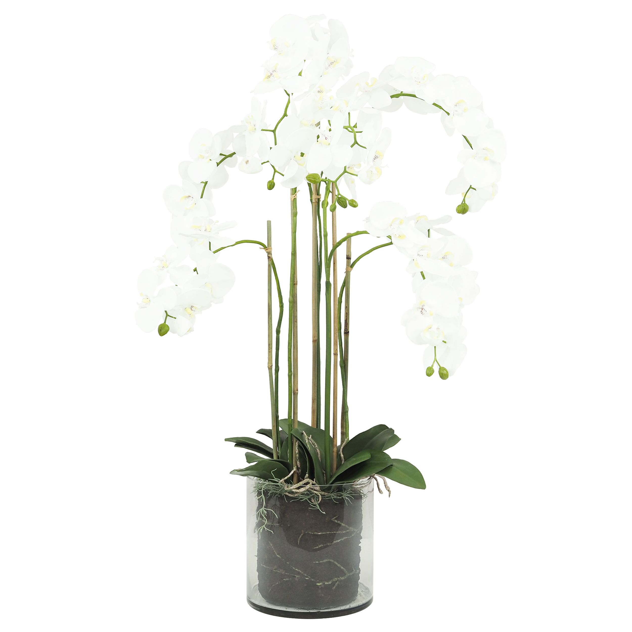 Orchidée Artificielle Toucher Naturel, H.125cm, Blanc