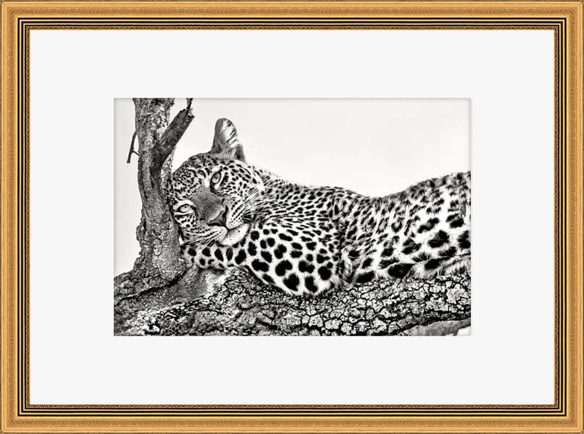 Tirage time to rest sous-verre encadré 70×50cm Tirage time to rest sous-verre encadré 70×50cm