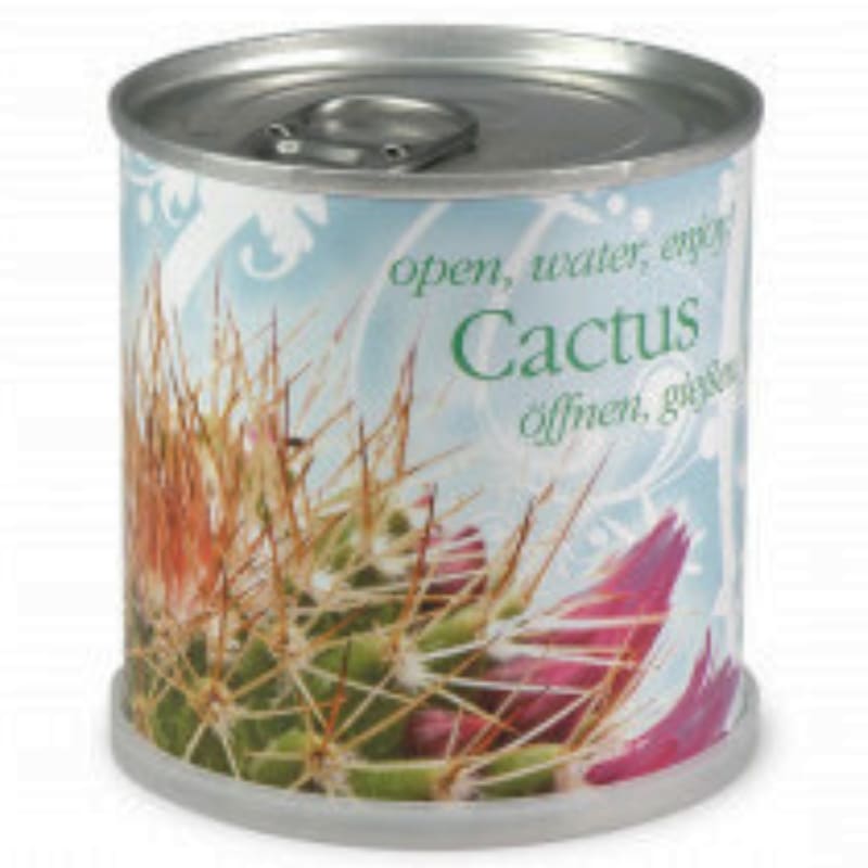 Cactus Prêt à pousser en canette