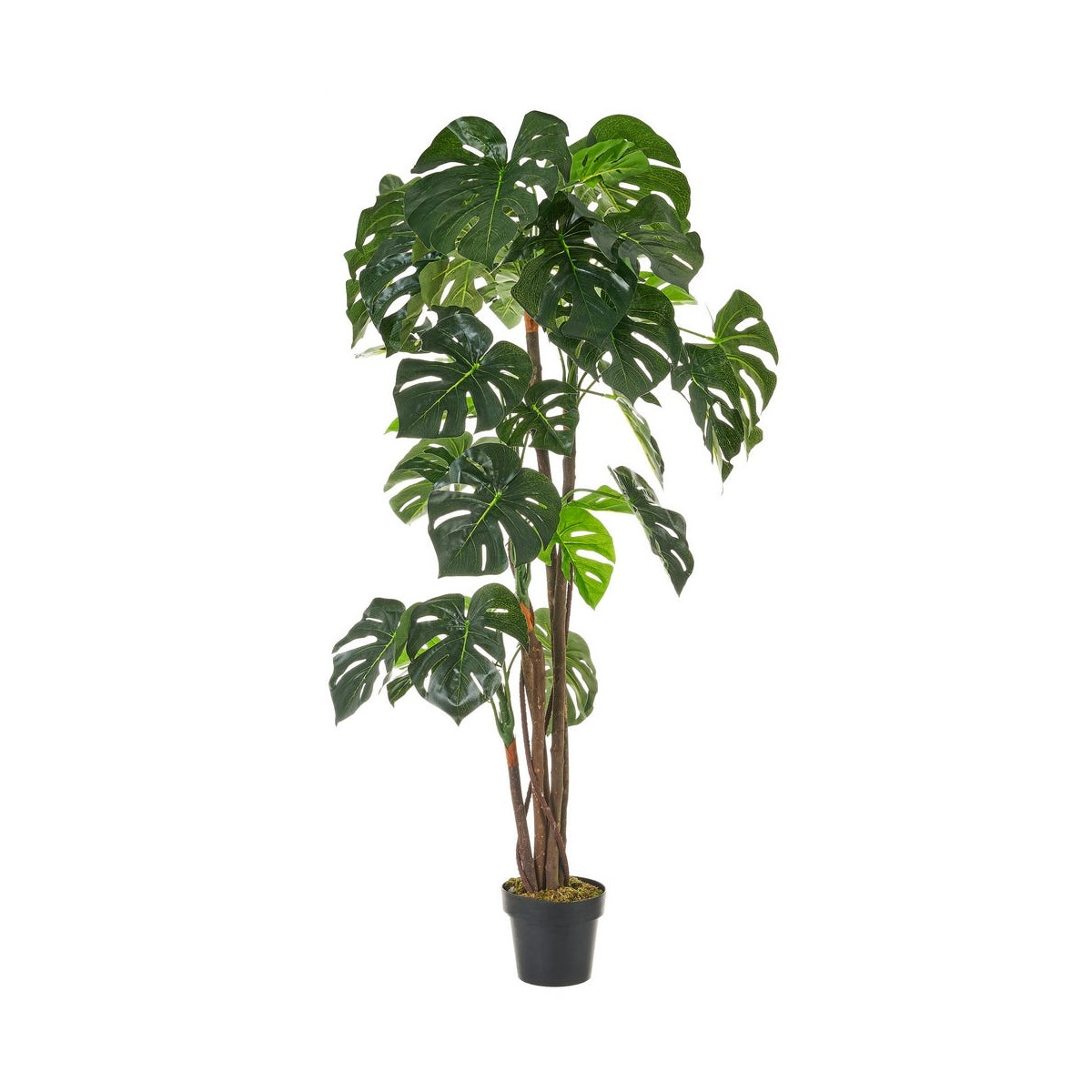 Plante artificielle d'intérieur monstera H170cm Plante artificielle d'intérieur monstera H170cm