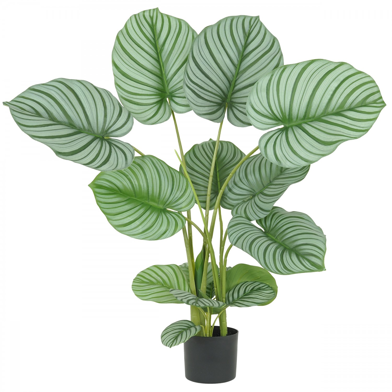 Calathéa Artificiel, 16 Feuilles, Toucher Naturel, H.100cm Calathéa Artificiel, 16 Feuilles, Toucher Naturel, H.100cm