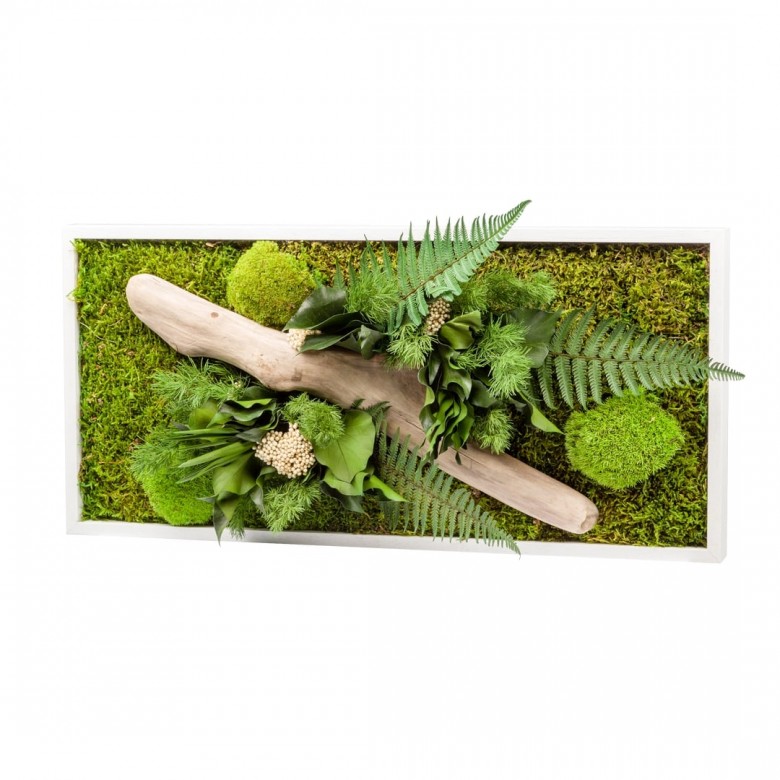 Tableau végétal stabilisé nature rectangle 27 x 58 cm