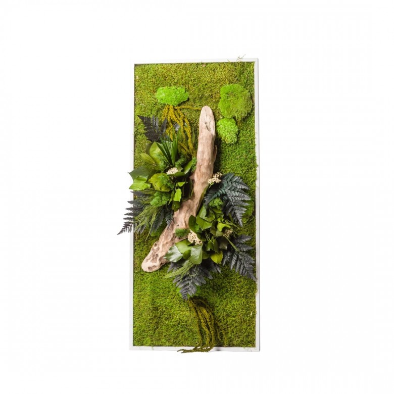 Tableau végétal stabilisé nature rectangle 40 x 90 cm