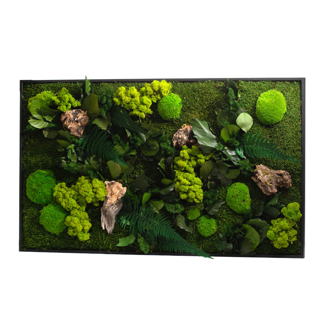 Tableau végétal rectangle XL 100x60cm