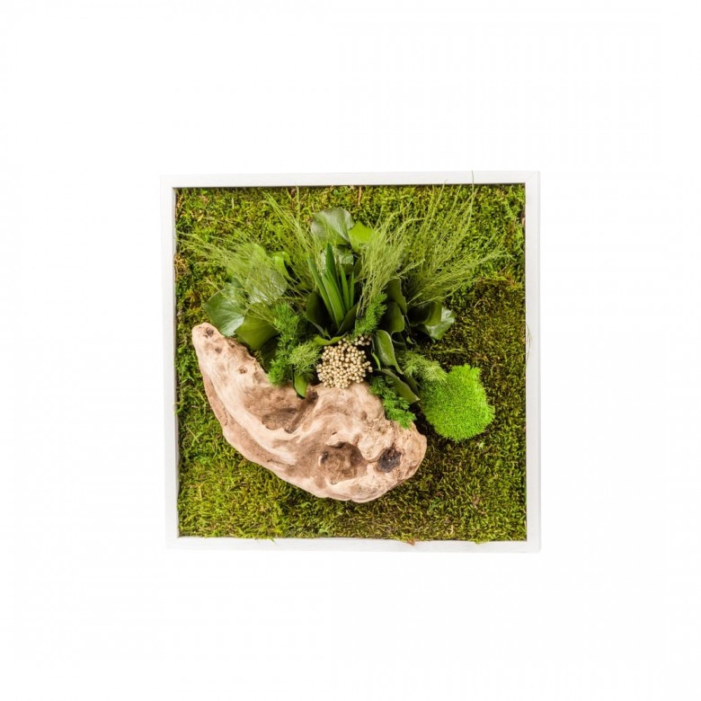 Tableau végétal stabilisé nature carré 35 x 35 cm