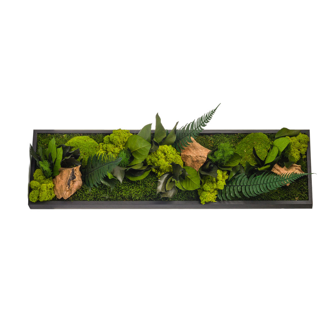 Tableau végétal panoramique noir 20x70cm