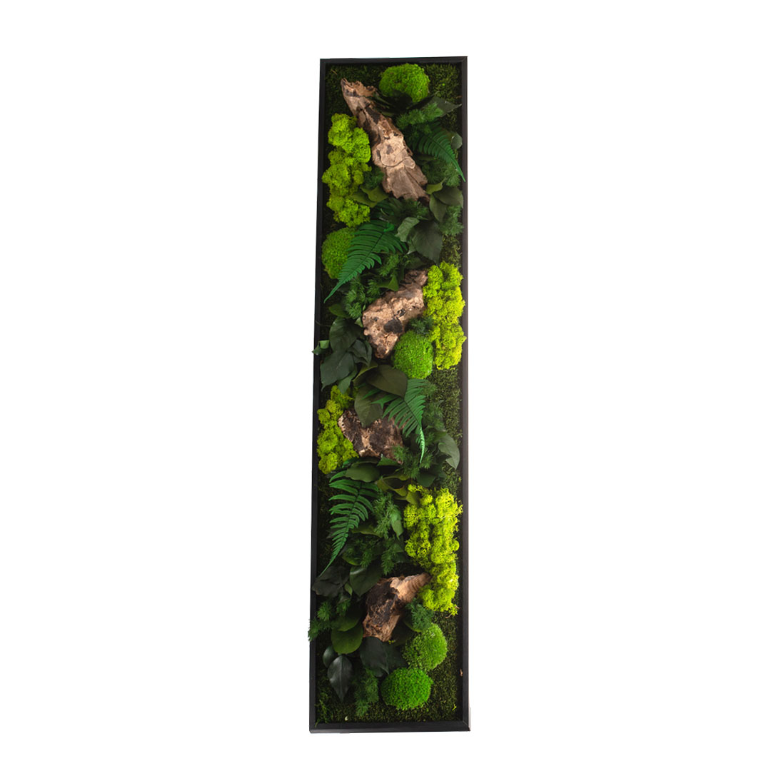 Tableau végétalisé panoramique XL noir 40x140cm
