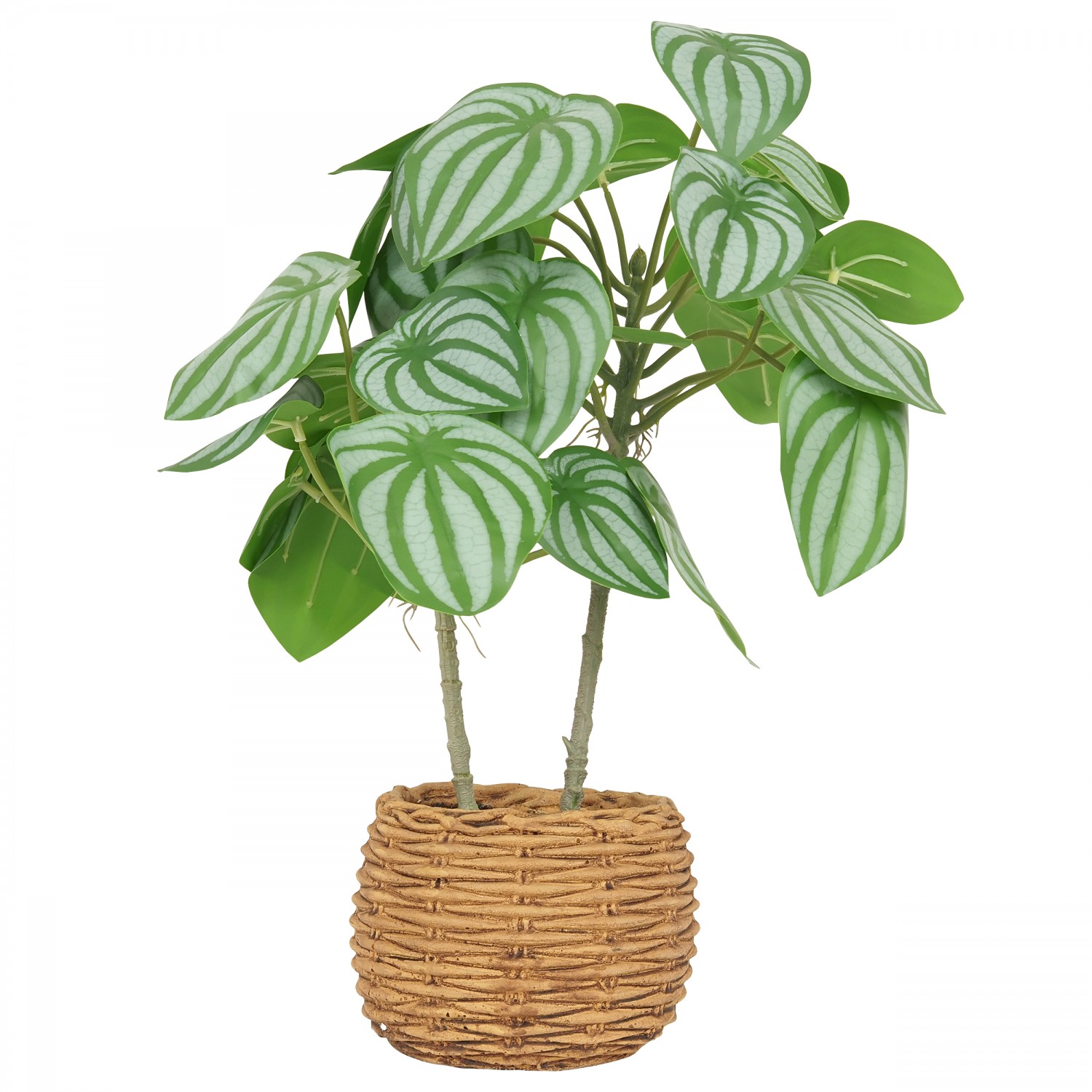 Peperomia artificiel pot effet cannage 40cm