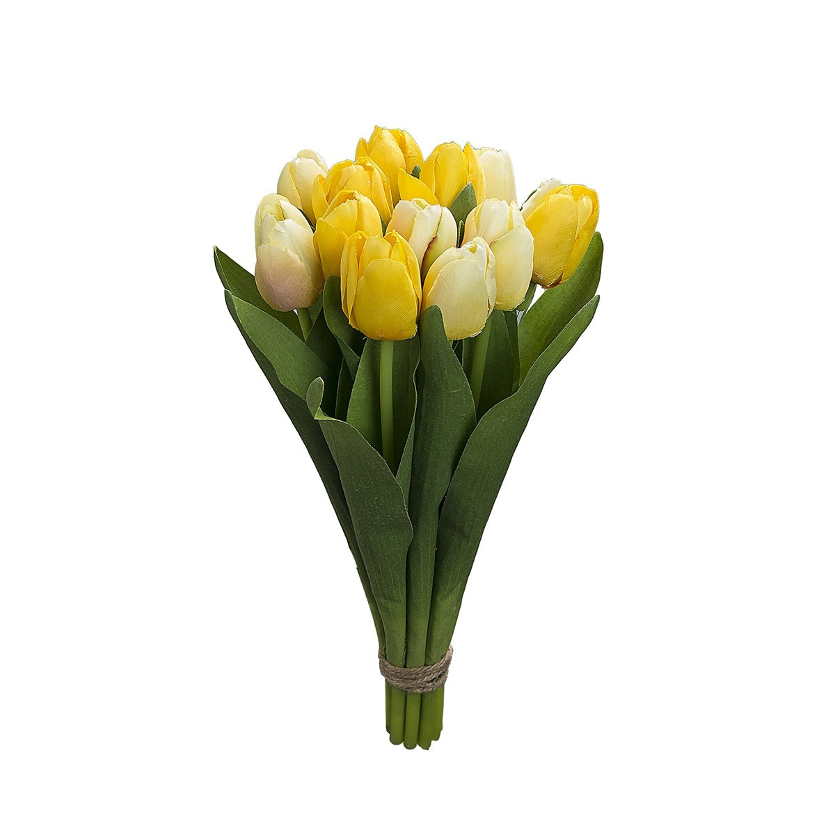 Bouquet de 12 Tulipes Bouquet de 12 Tulipes