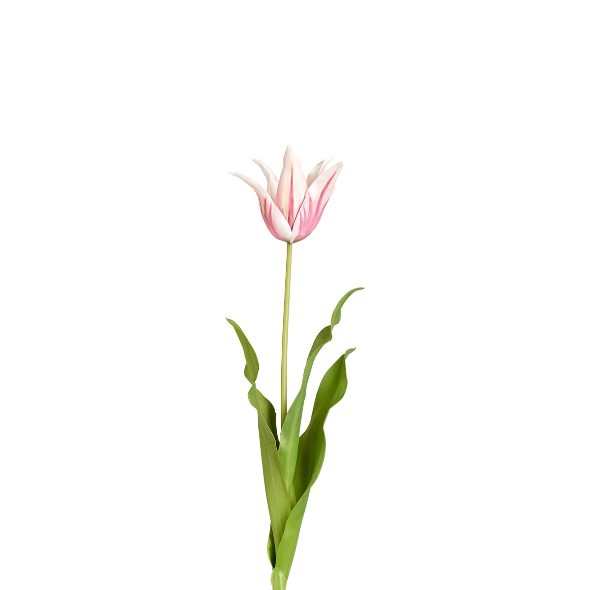 Tulipe artificielle Pica H63cm
