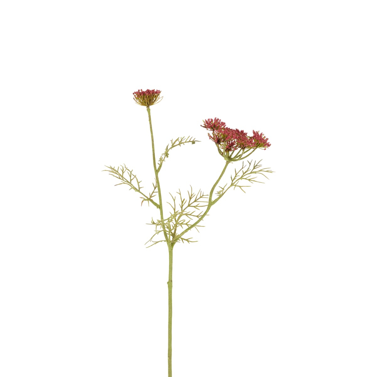 Tige de carotte sauvage artificielle rouge H75