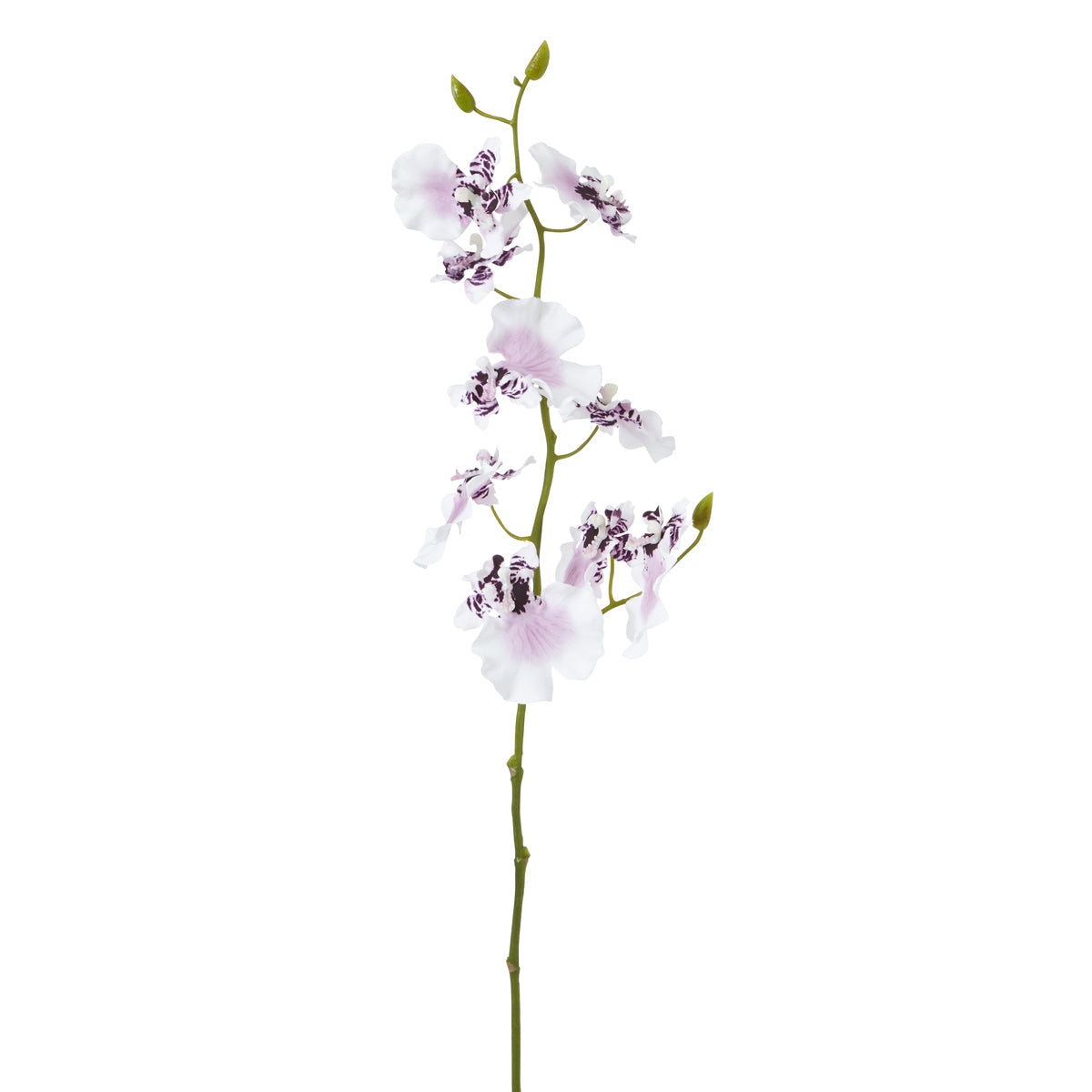 Tige d'orchidée oncidium artificielle blanche et mauve H58