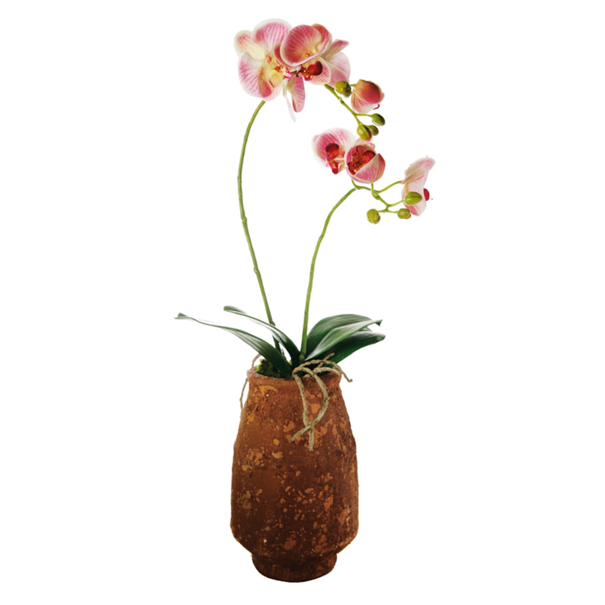 Orchidée Artificielle en Pot en argile H63
