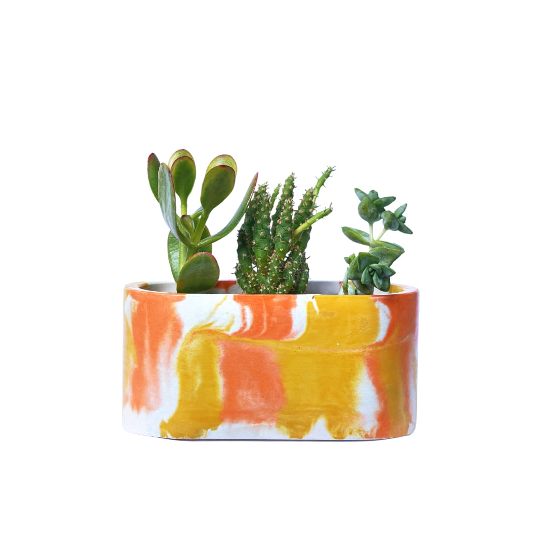 Mini jardinière Tie&Dye béton orange et jaune