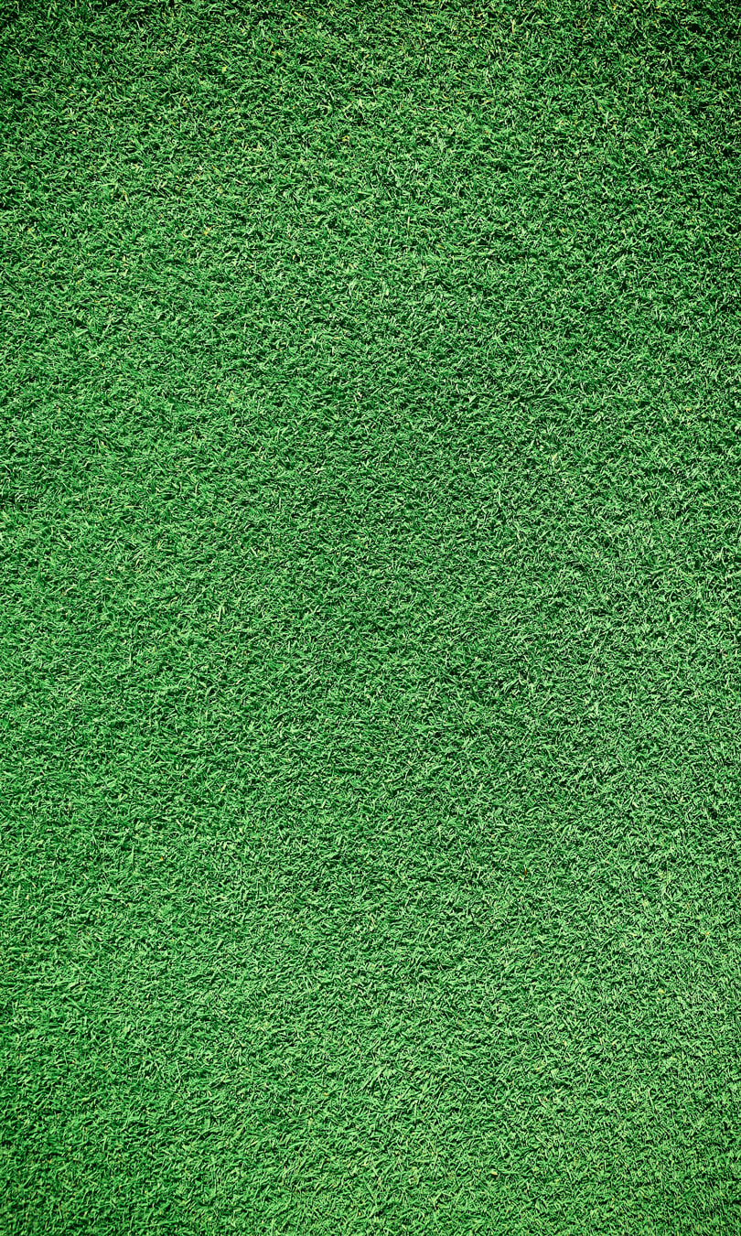 Tapis pelouse artificielle pour terrasse, jardin, patio – 133x190cm