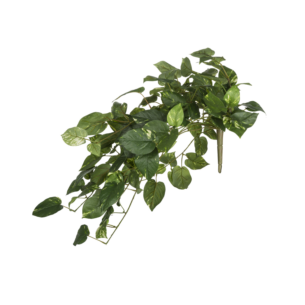 Feuillage de pothos artificiel vert et blanc H33