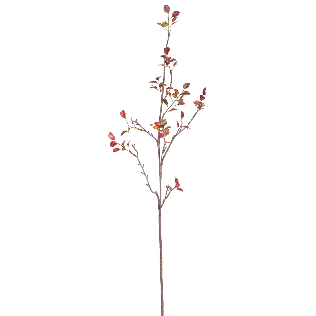 Branche avec petites feuilles rouges h90