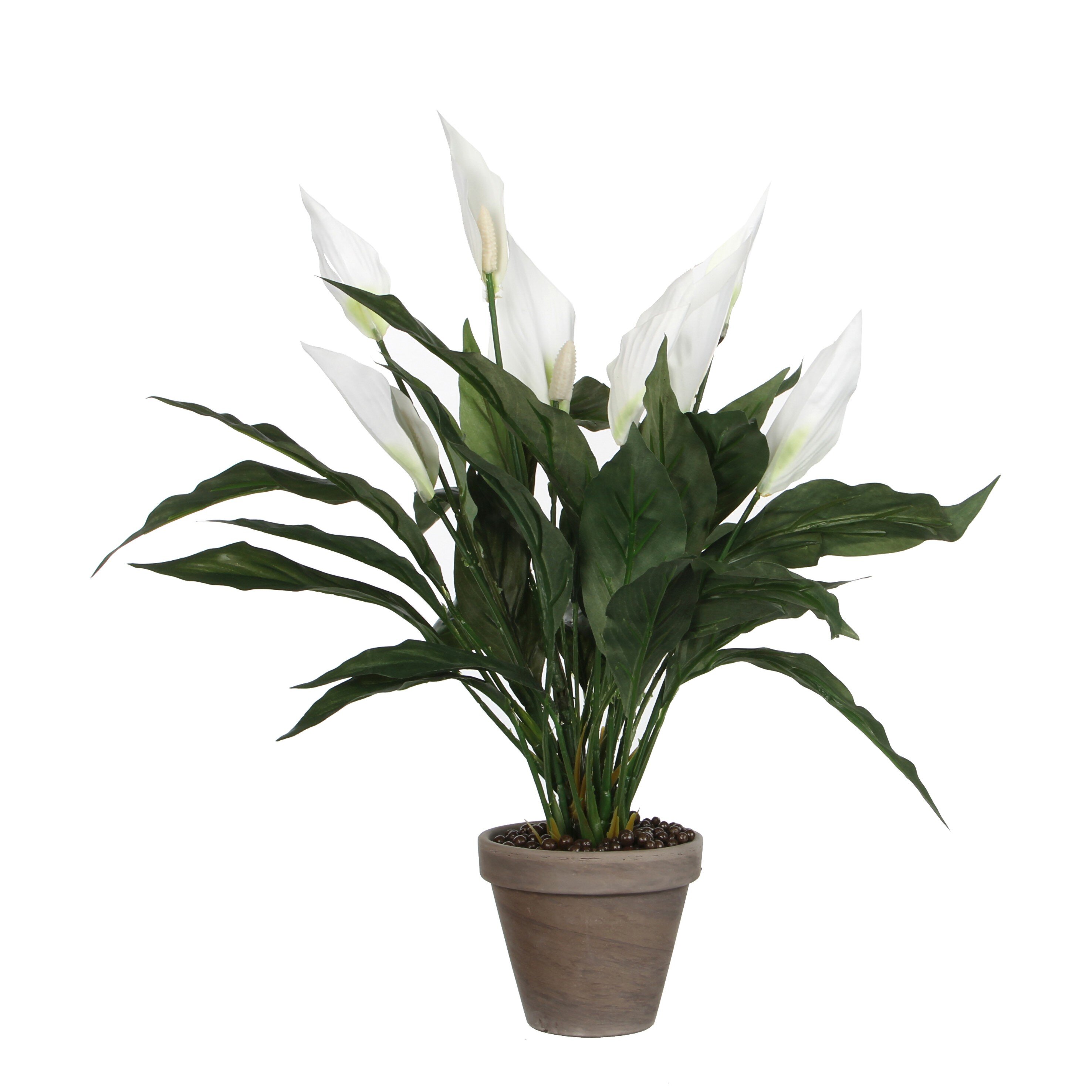 Spathiphyllum artificielle blanc en pot H50