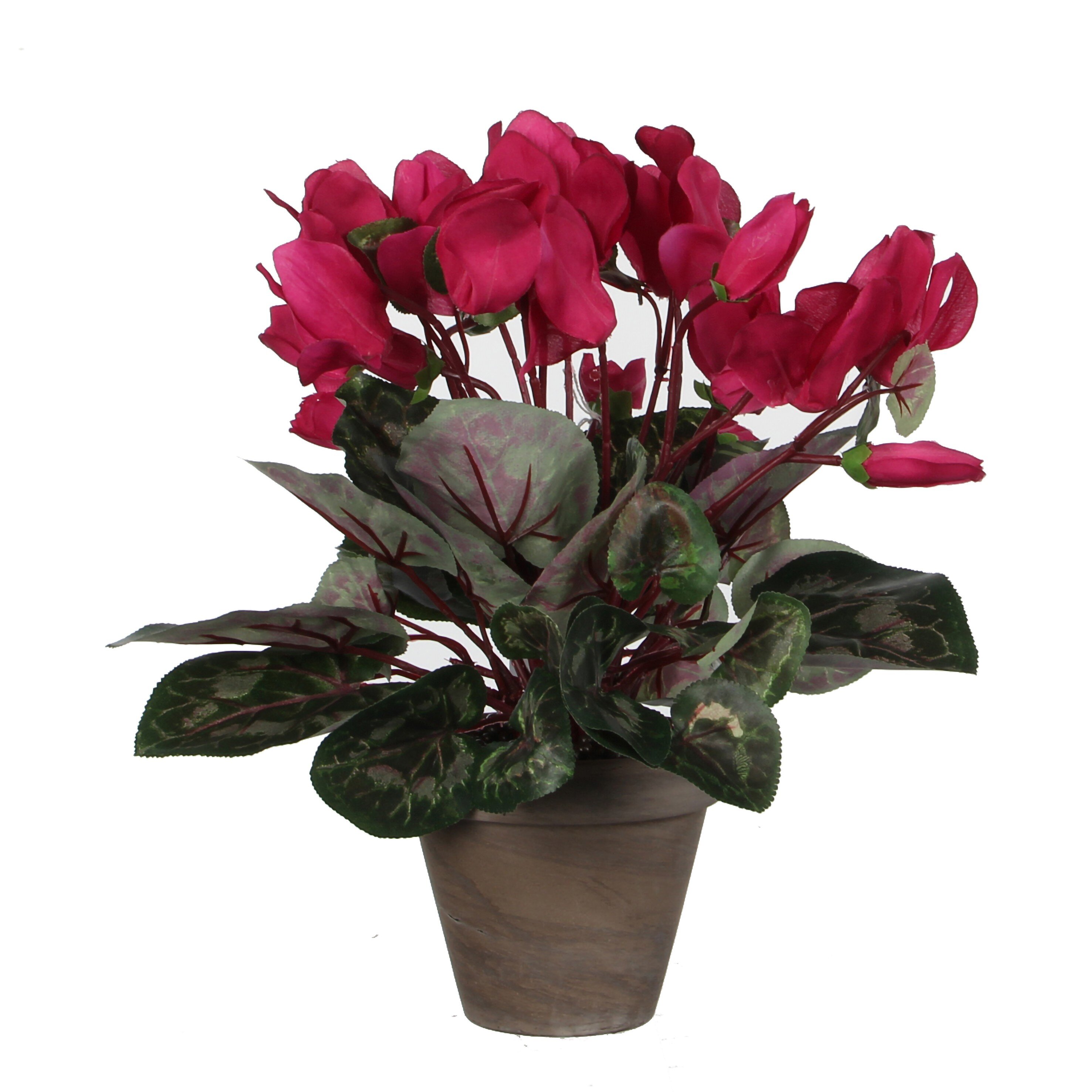 Cyclamen artificielle rose foncé en pot H30