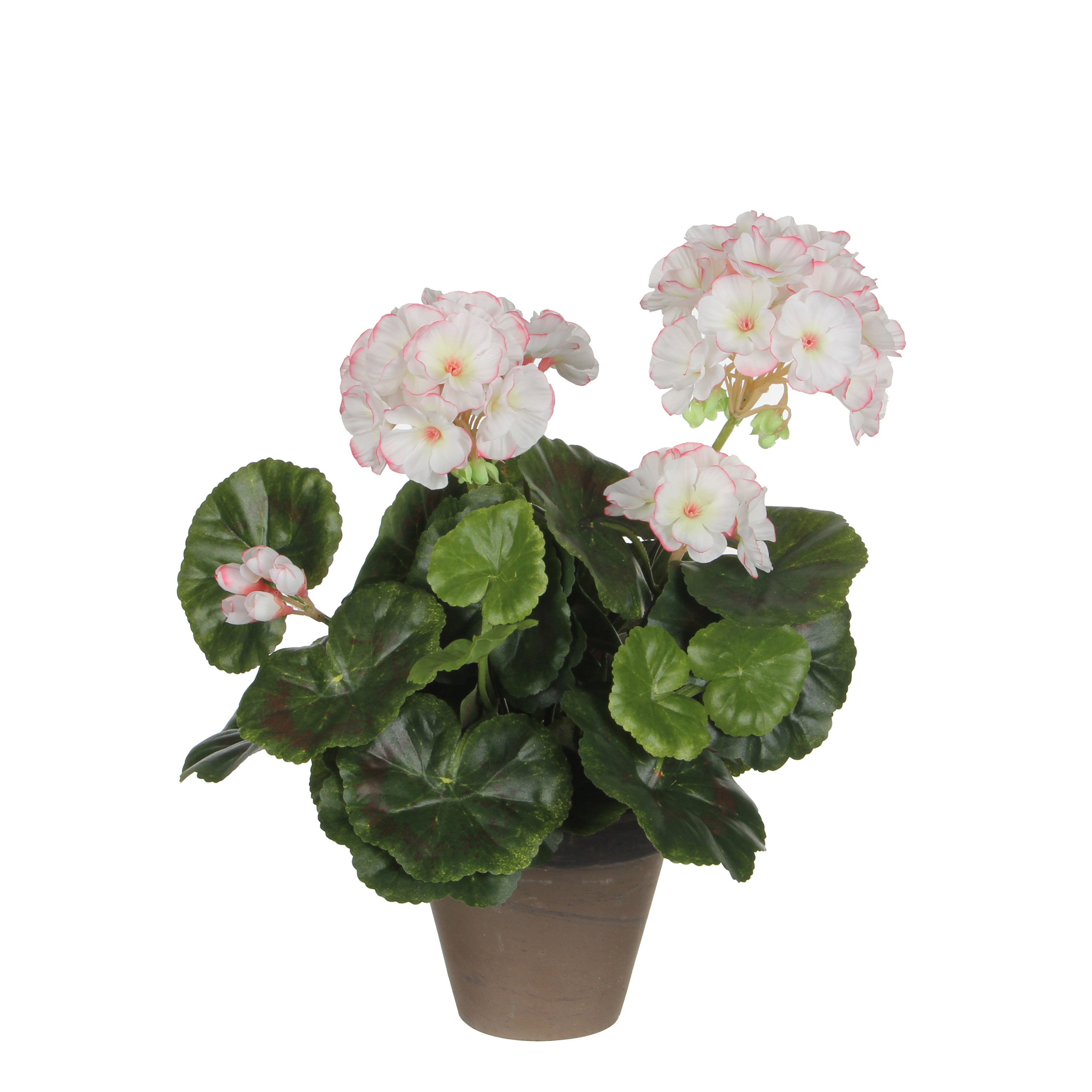 Géranium artificielle blanc et rose en pot H34