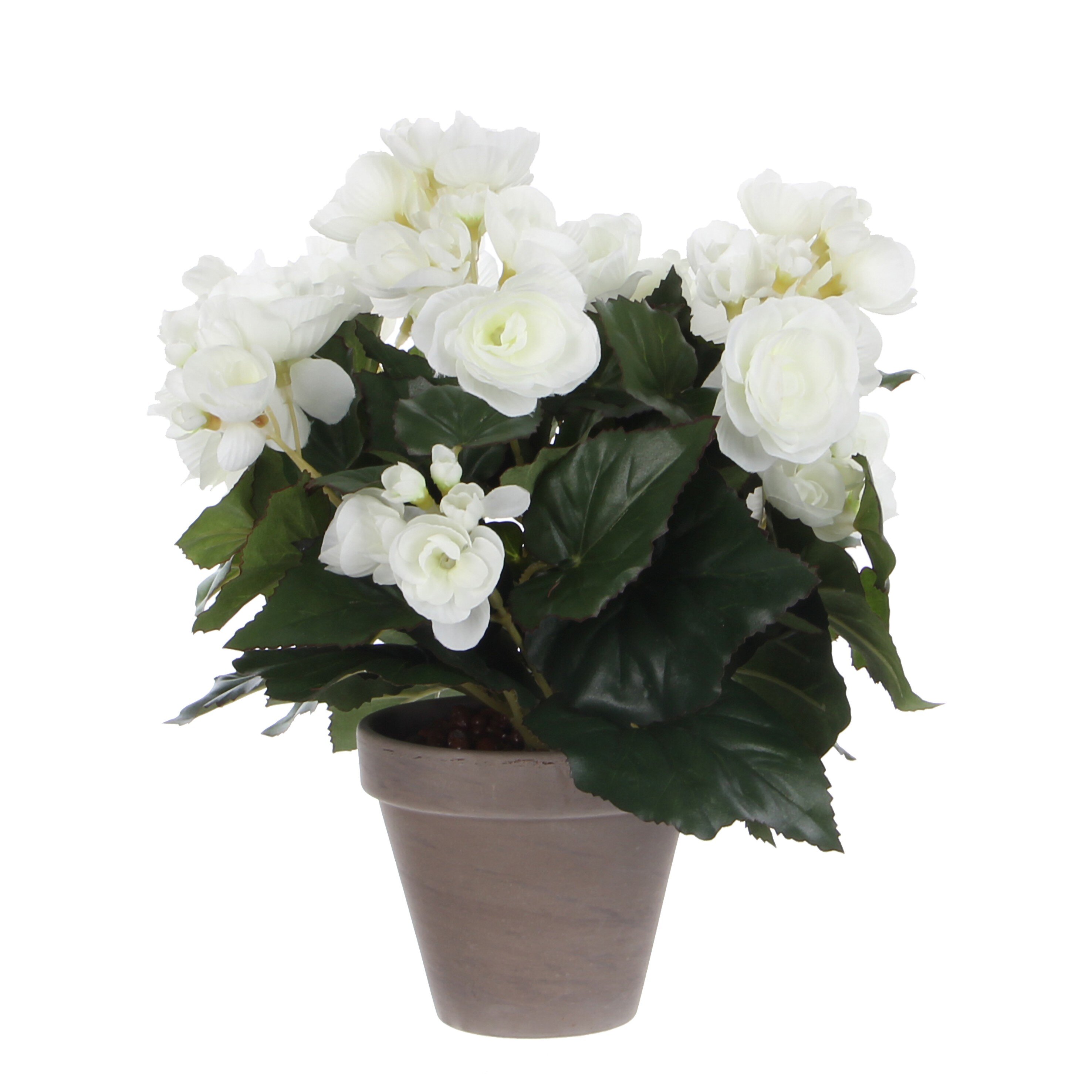 Bégonia artificielle blanc en pot H30