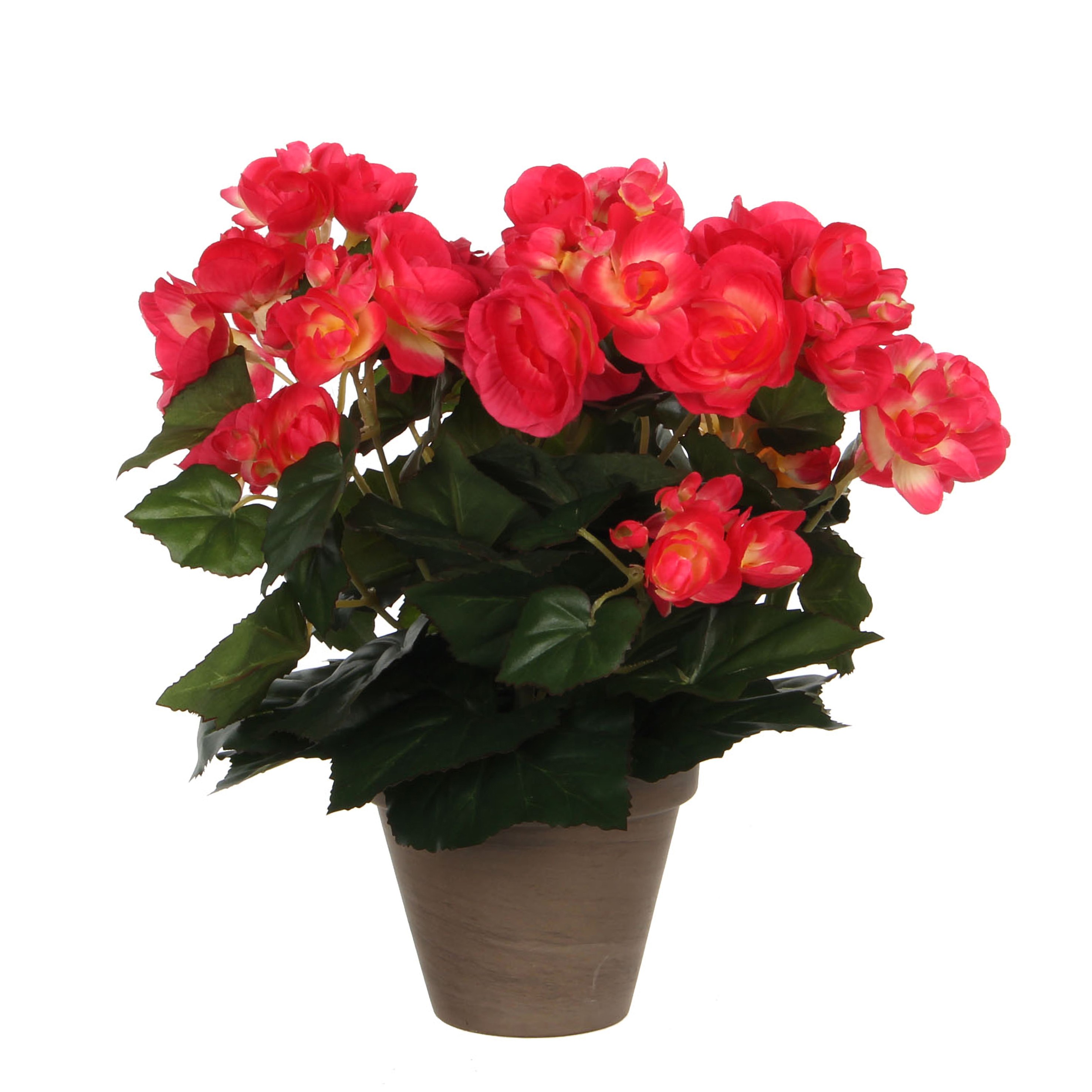 Bégonia artificielle rose foncé en pot H30