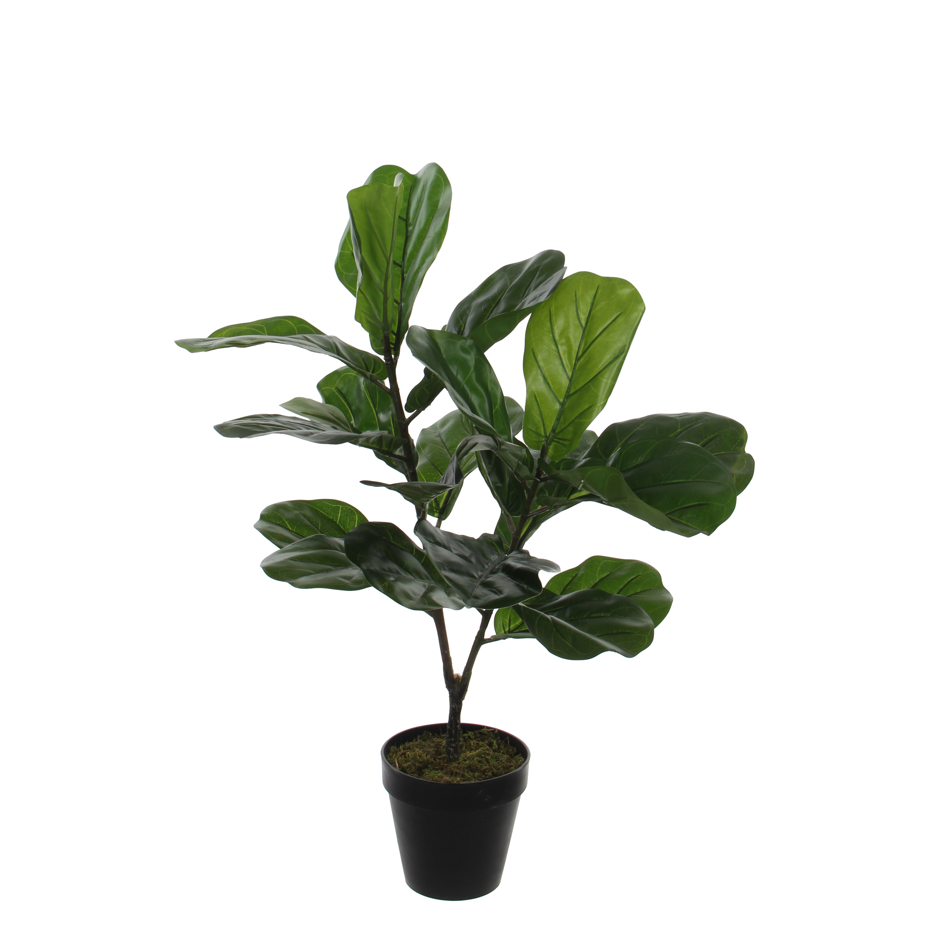 Ficus lyrata artificielle vert H75