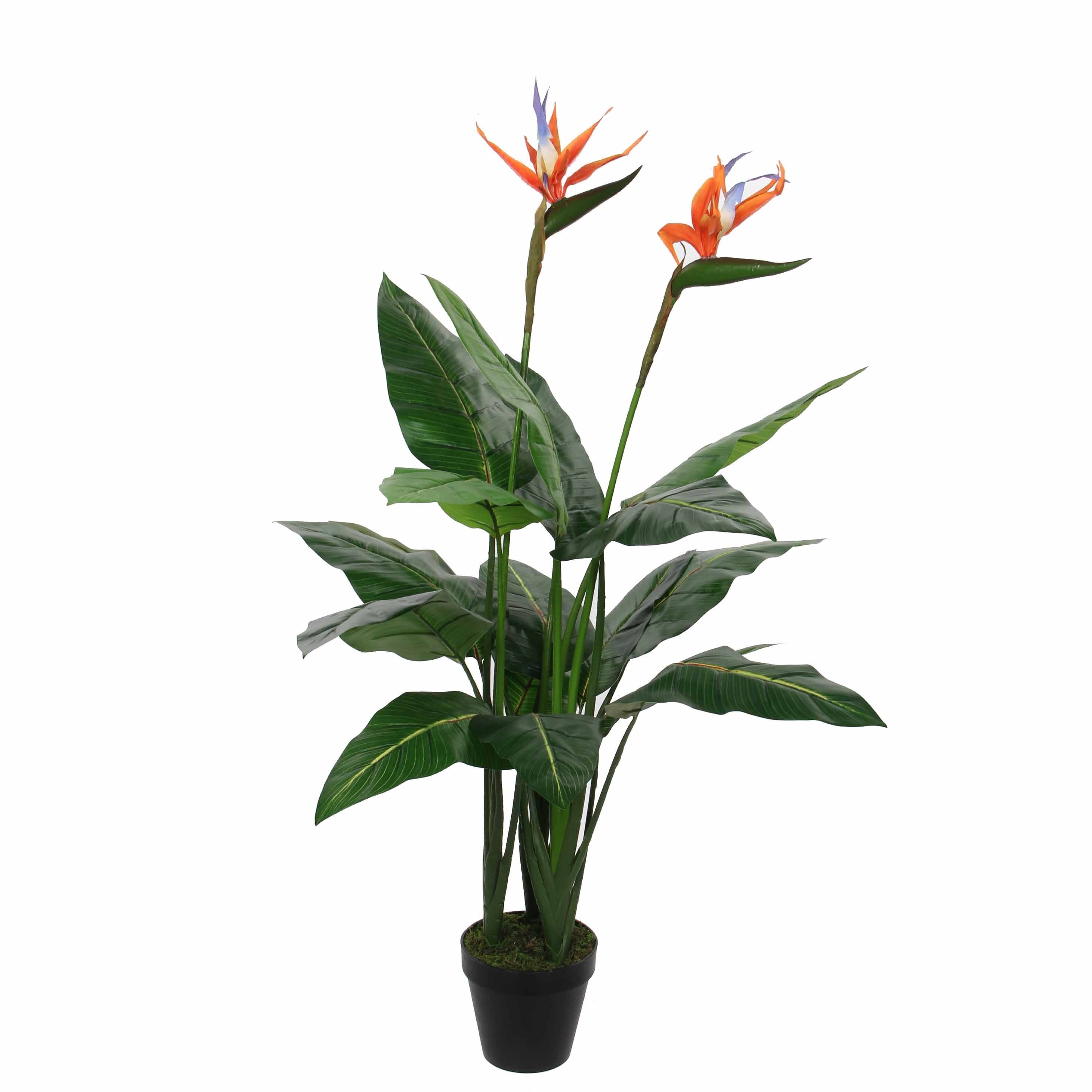 Strelitzia artificielle vert en pot H110