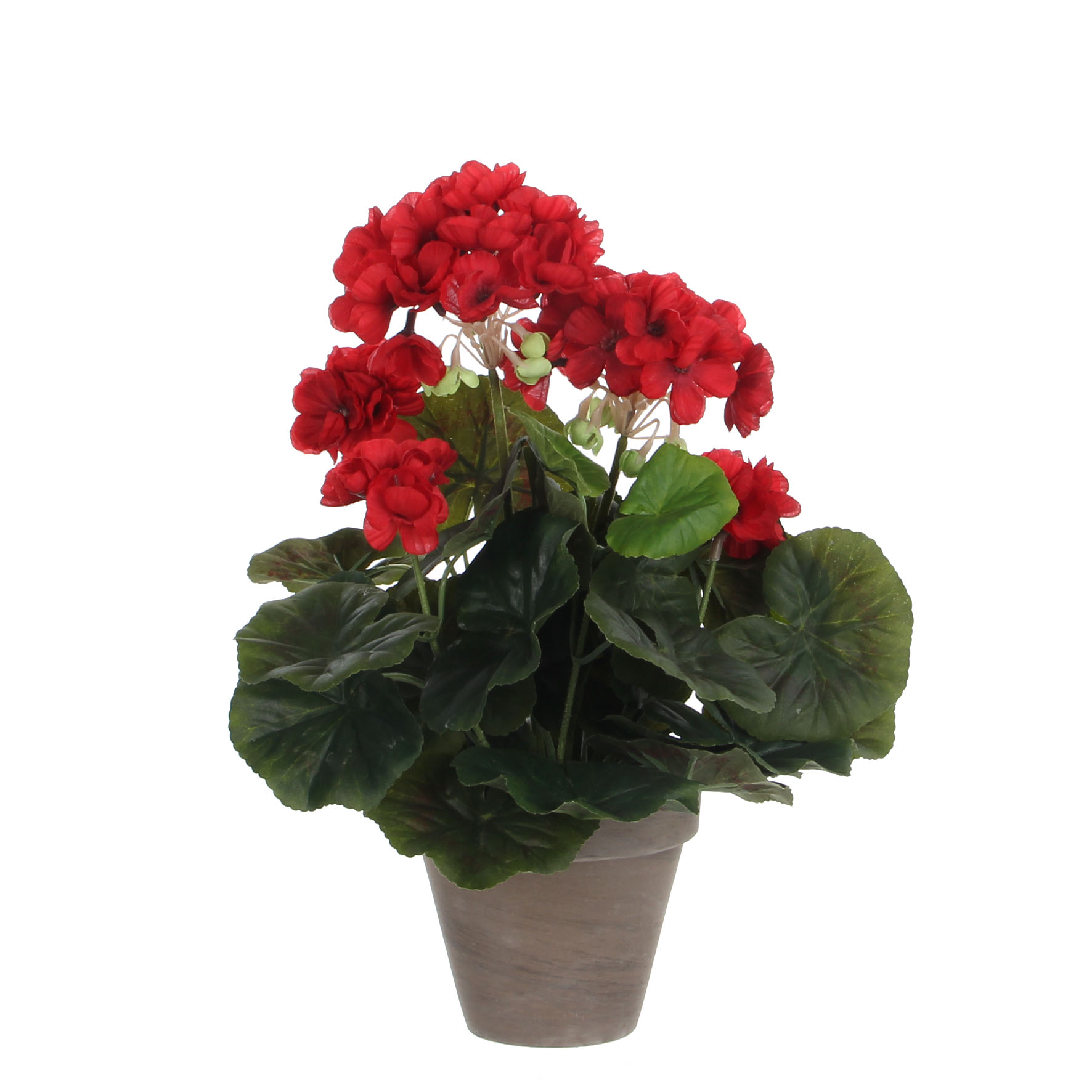 Géranium artificielle rouge en pot H34