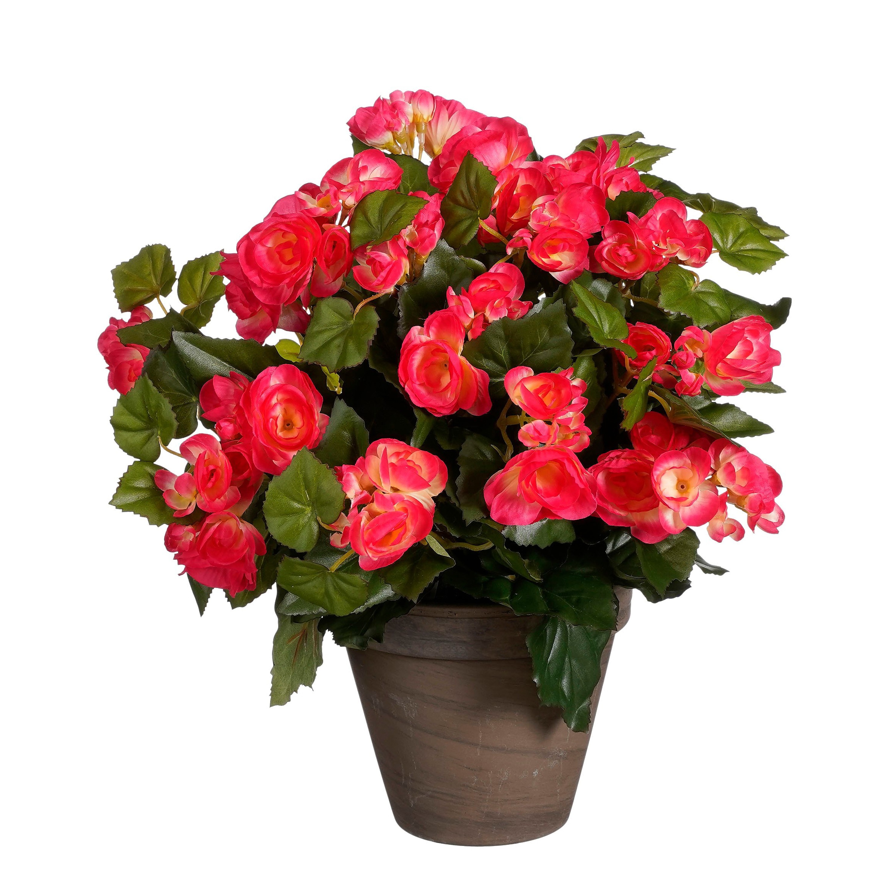 Bégonia artificielle rose foncé en pot H37