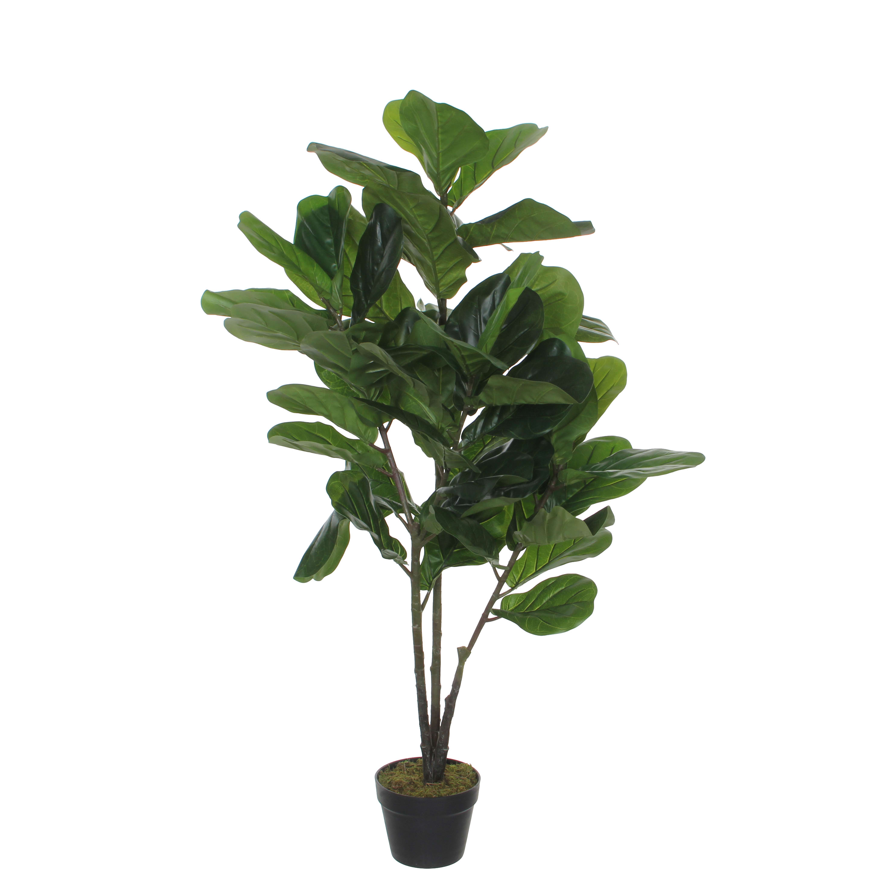 Ficus lyrata artificielle vert H120