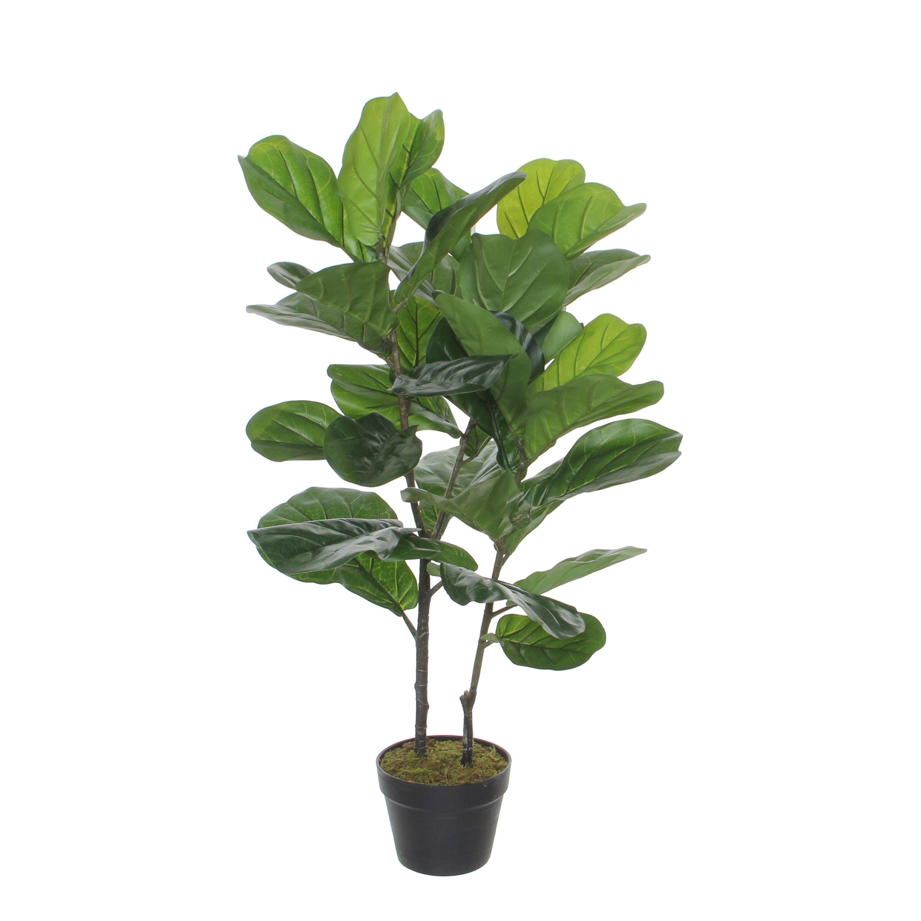 Ficus lyrata artificielle vert H100